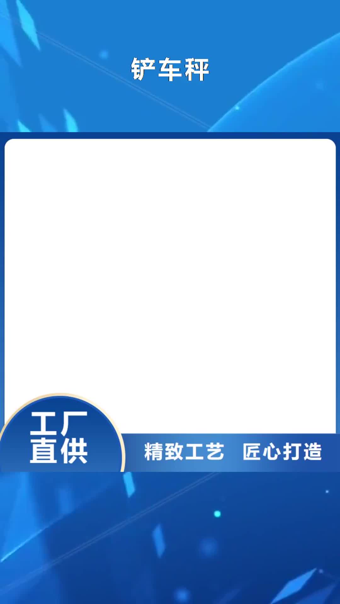 秦皇岛 铲车秤现货交易