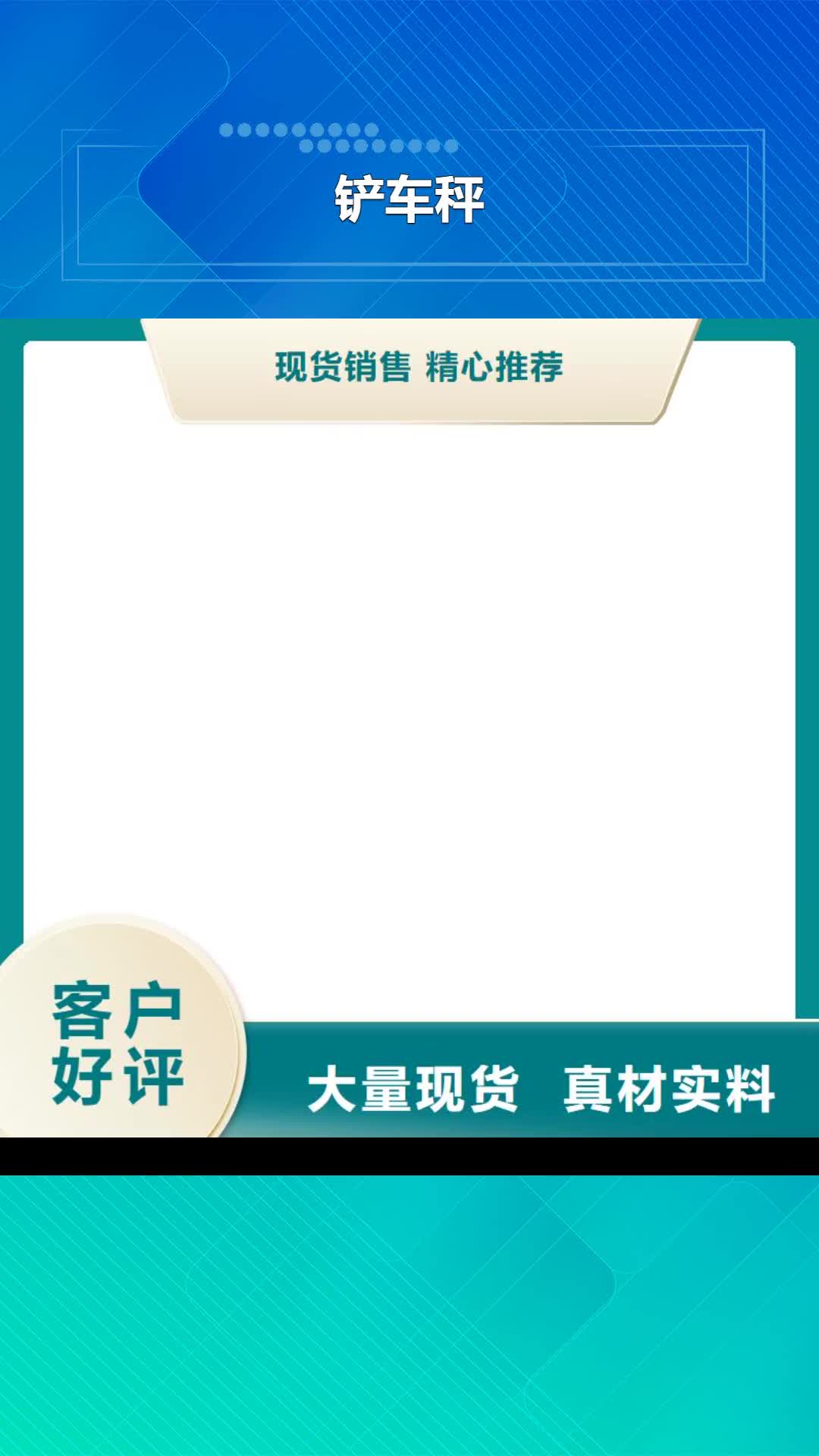 曲靖【铲车秤】_电子吊磅技术先进