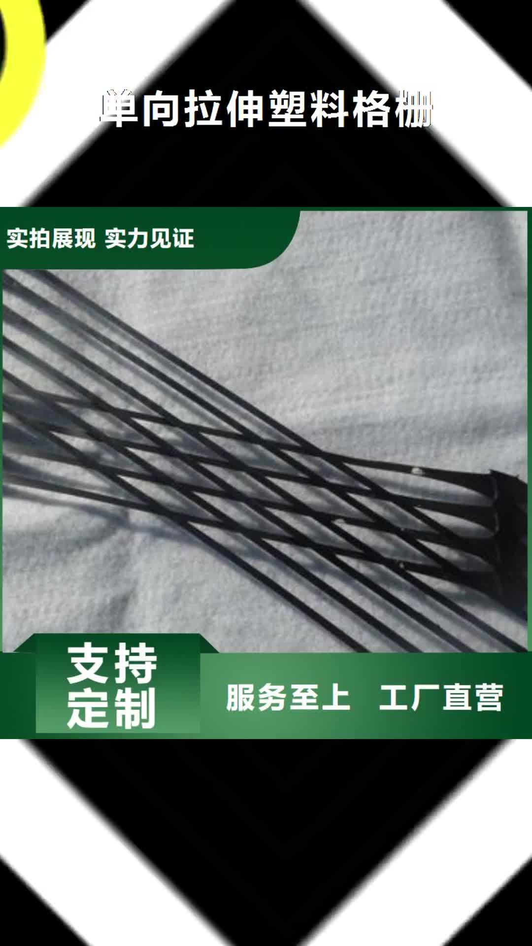 平顶山 单向拉伸塑料格栅,【长丝土工布】甄选好厂家