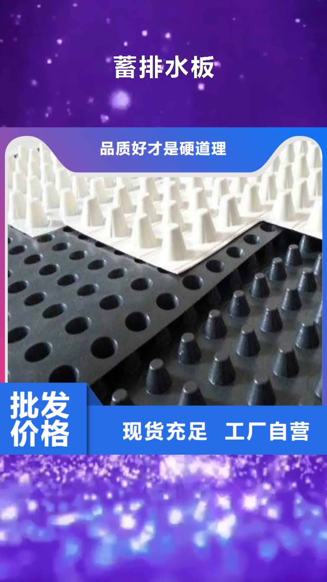 贵阳【蓄排水板】_三维植被网库存丰富
