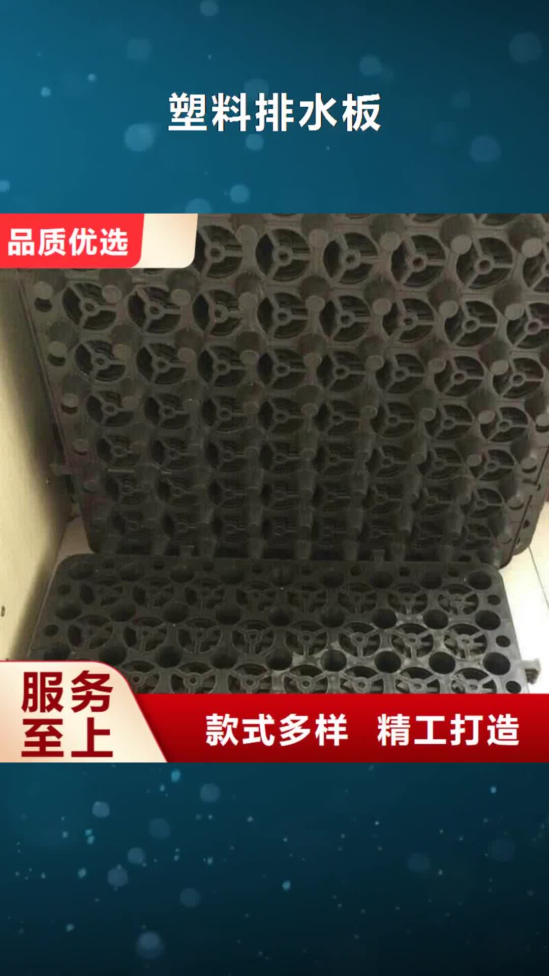 咸宁【塑料排水板】 钢塑土工格栅厂家按需定做
