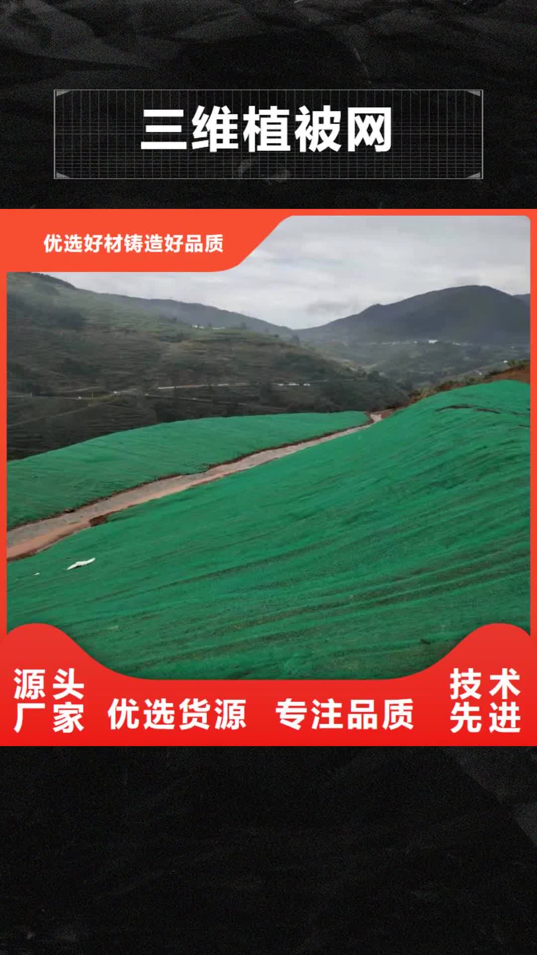 【甘南 三维植被网玻璃纤维土工格栅规格齐全】