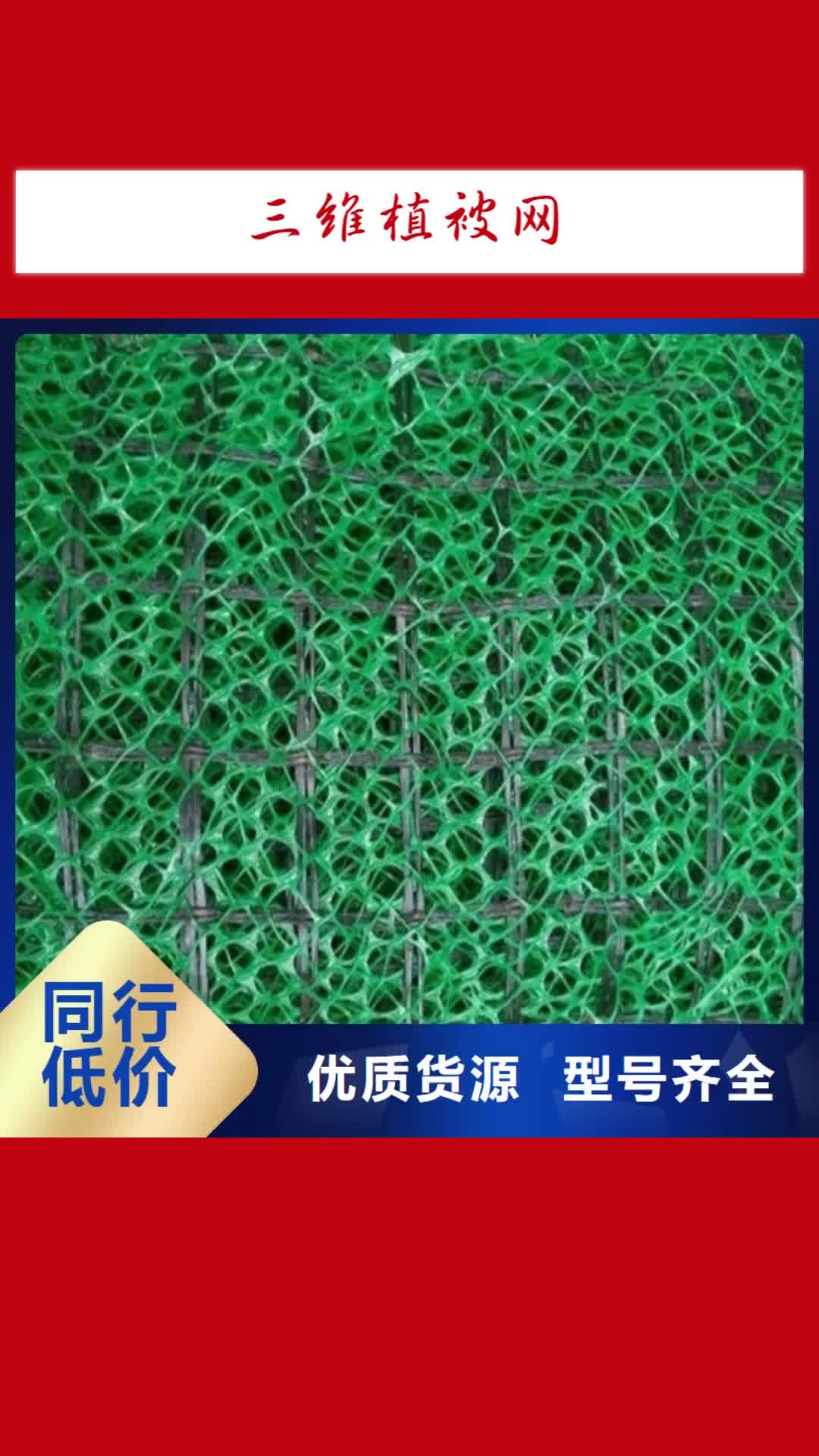 咸阳【三维植被网】-玻璃纤维土工格栅工厂现货供应
