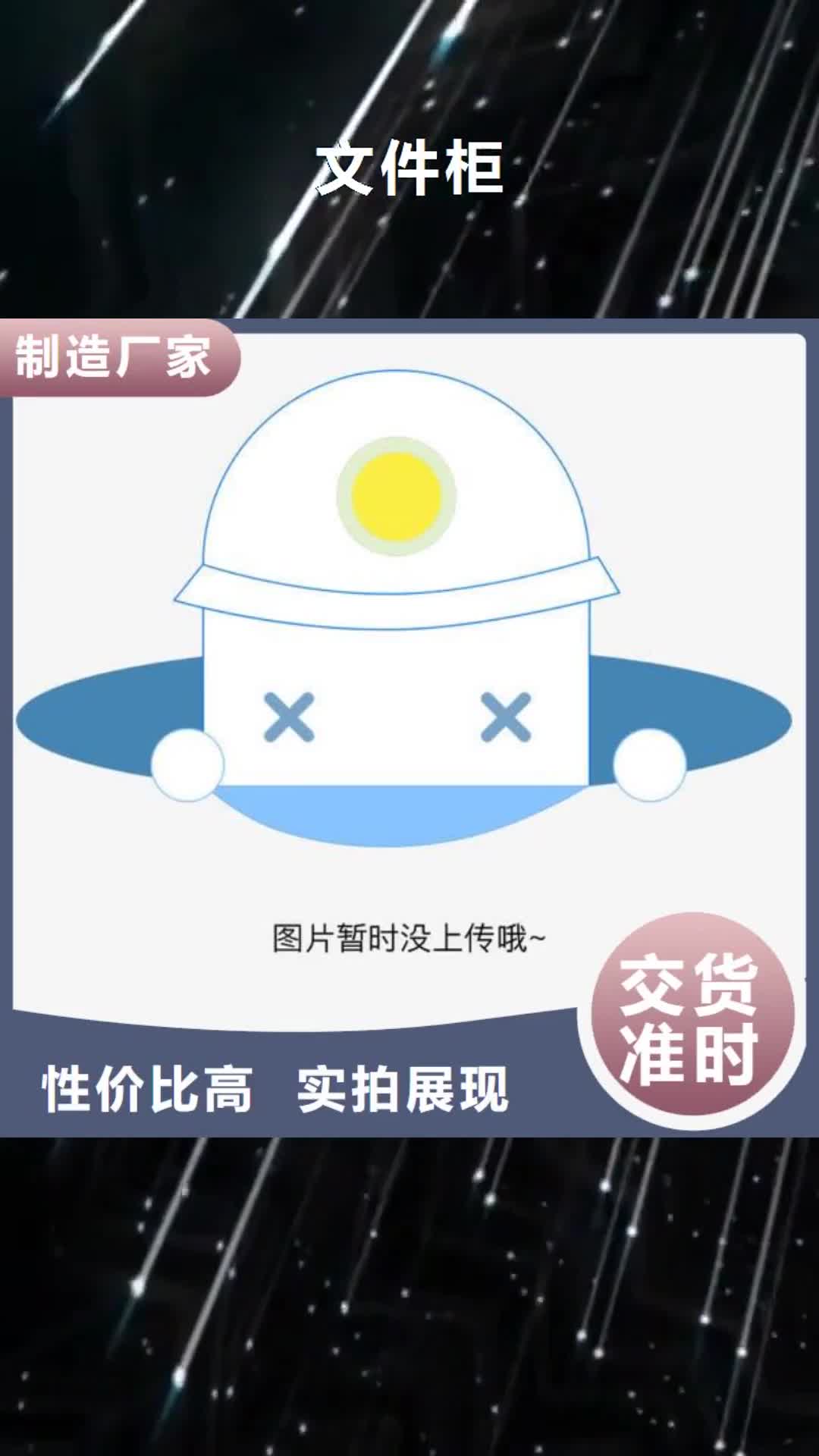 【鹤壁 文件柜-士兵柜 送货上门】
