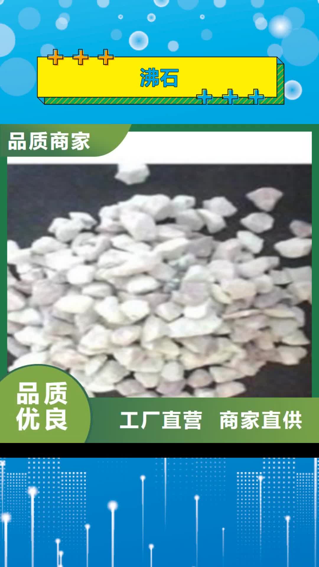 宿迁【沸石】-聚丙烯酰胺现货供应