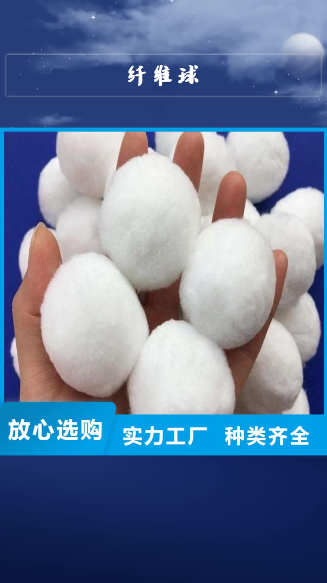 随州 纤维球 【纤维球滤料】客户信赖的厂家