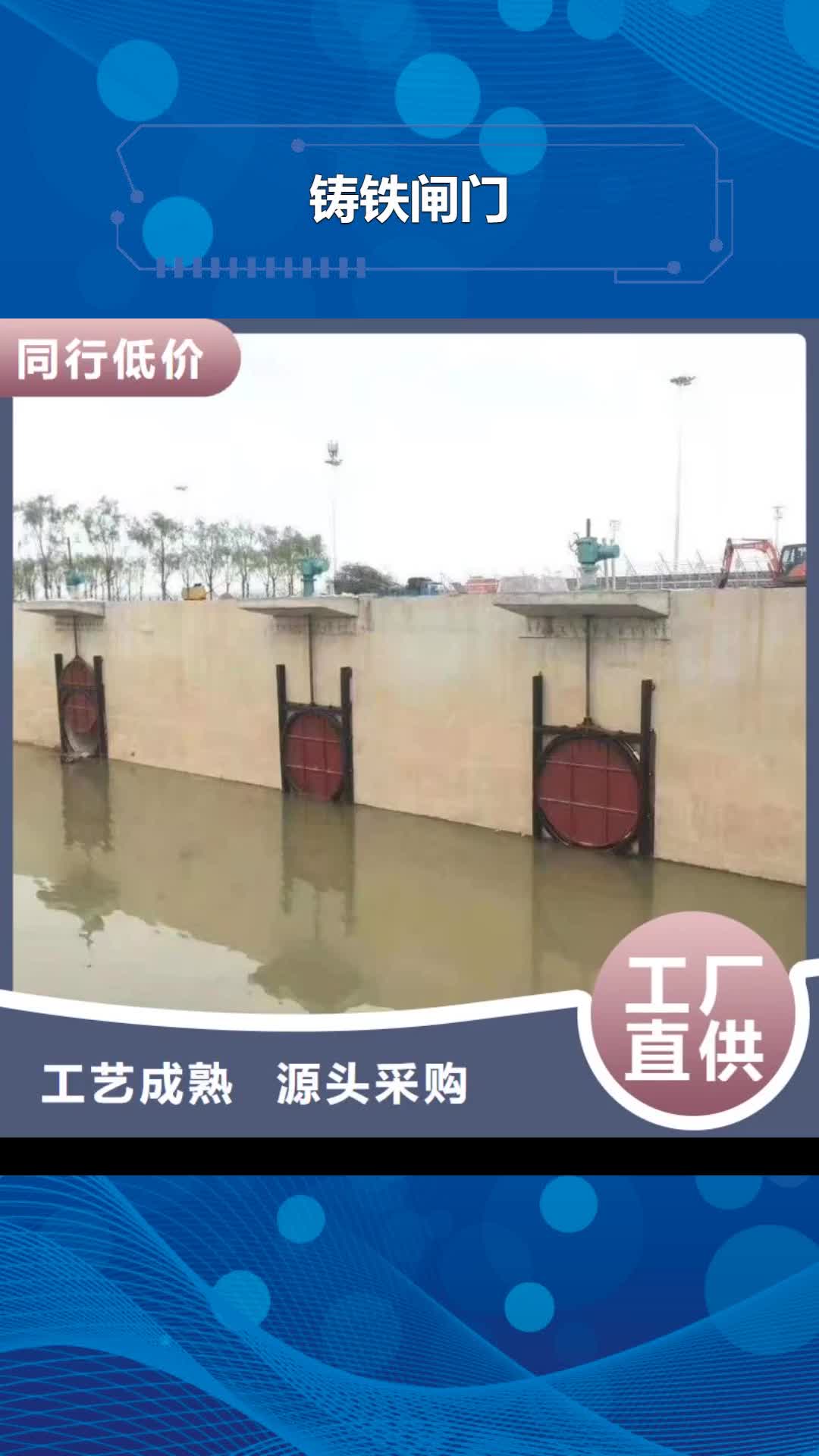 黔南铸铁闸门 【手电两用启闭机】自有厂家
