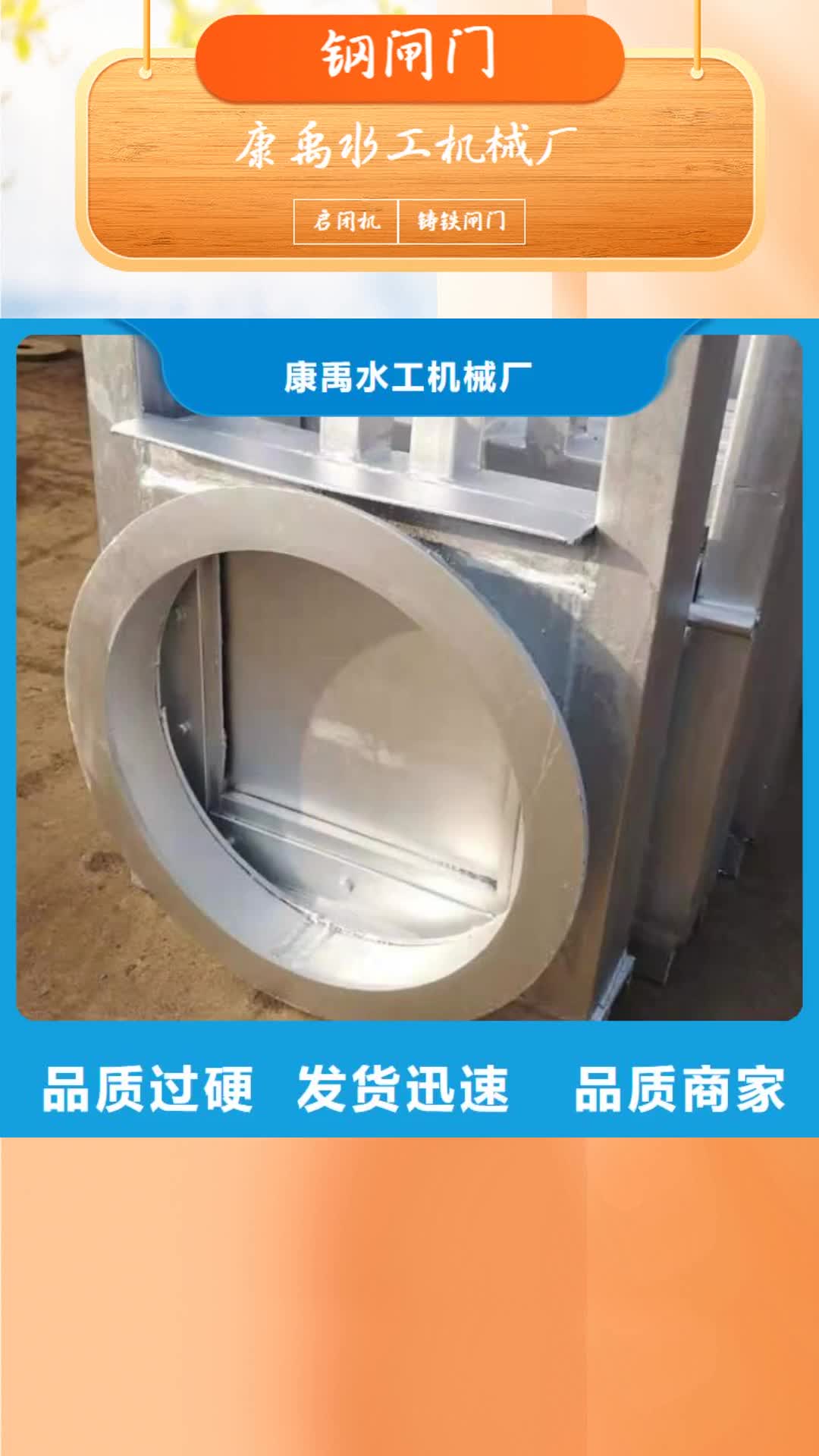 【攀枝花钢闸门_清污机来图来样定制】