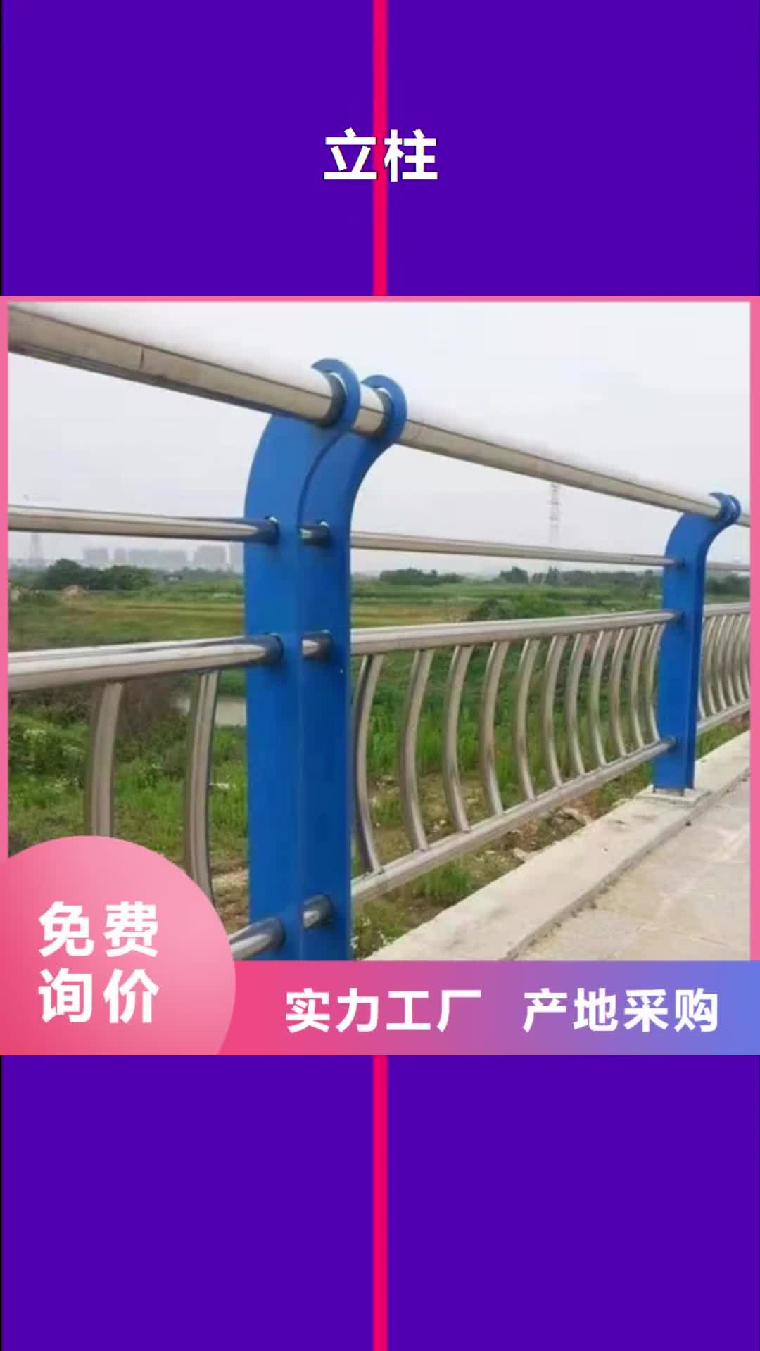 佛山【立柱】 桥梁防撞护栏质量好