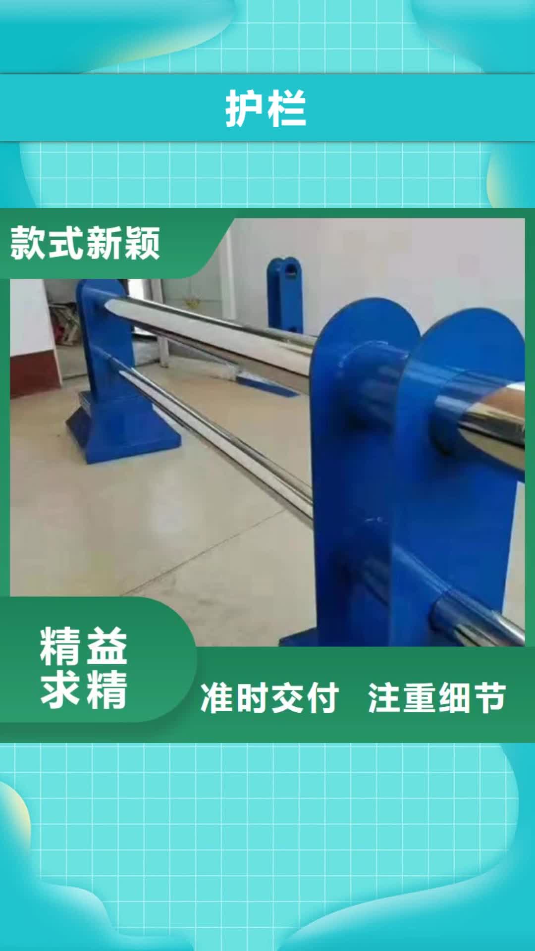 贺州 护栏【桥梁护栏】实拍展现