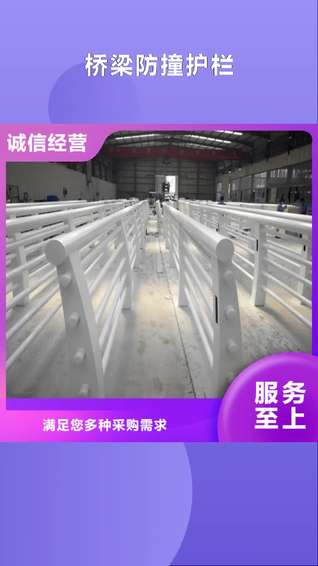 漳州 桥梁防撞护栏【桥梁灯光护栏】技术先进
