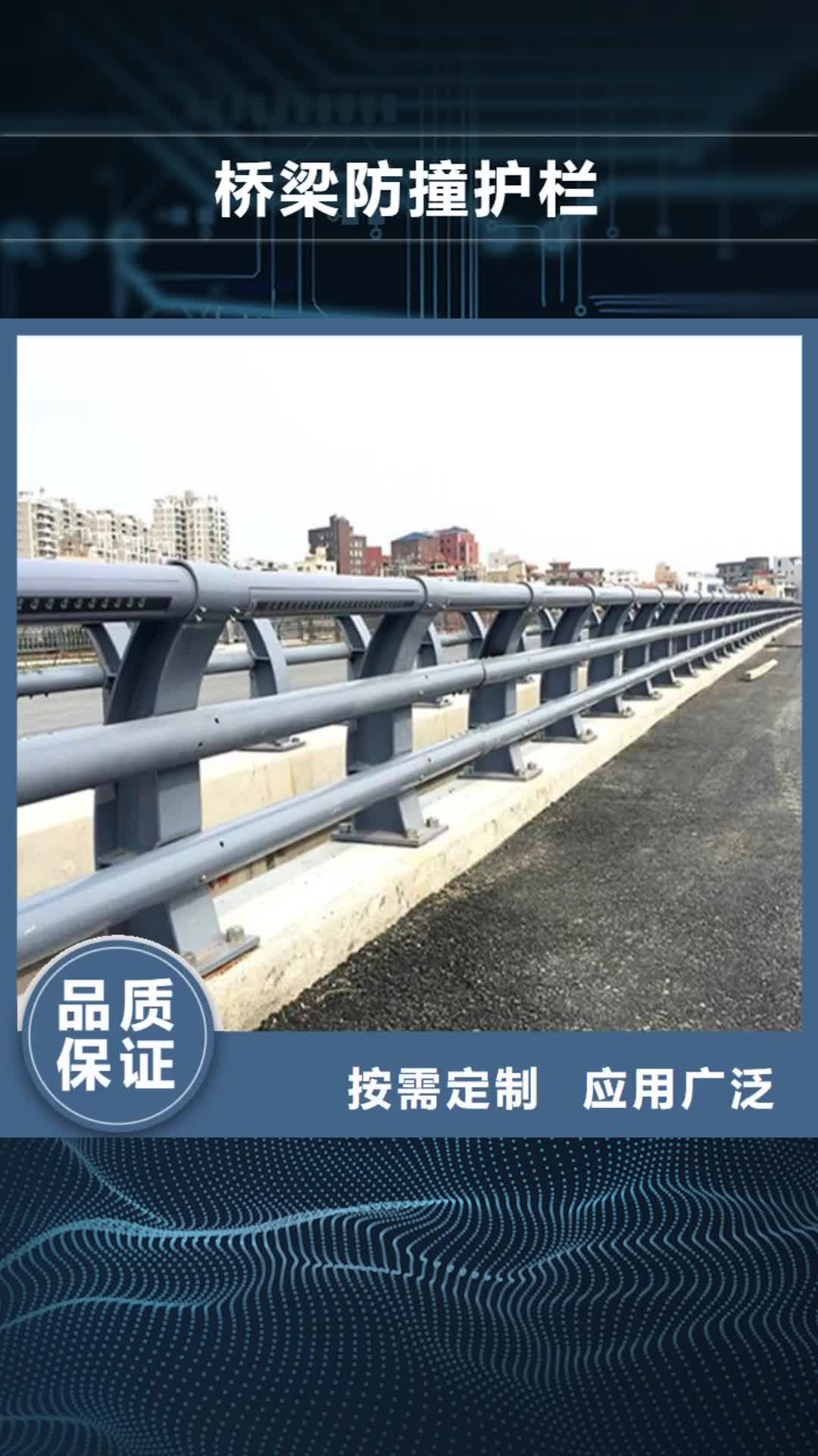 鹤壁 桥梁防撞护栏【灯光护栏厂】满足客户需求