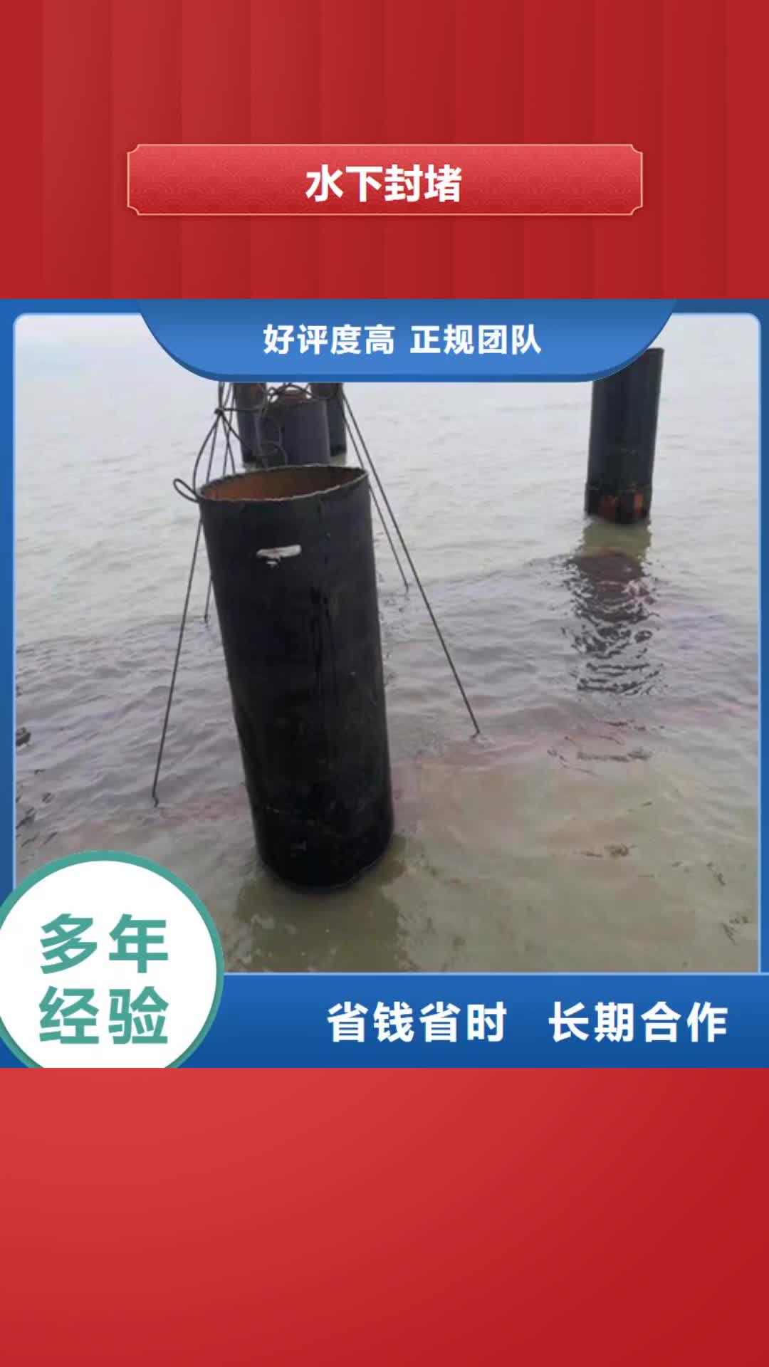 张掖 水下封堵,【水下封堵施工】行业口碑好