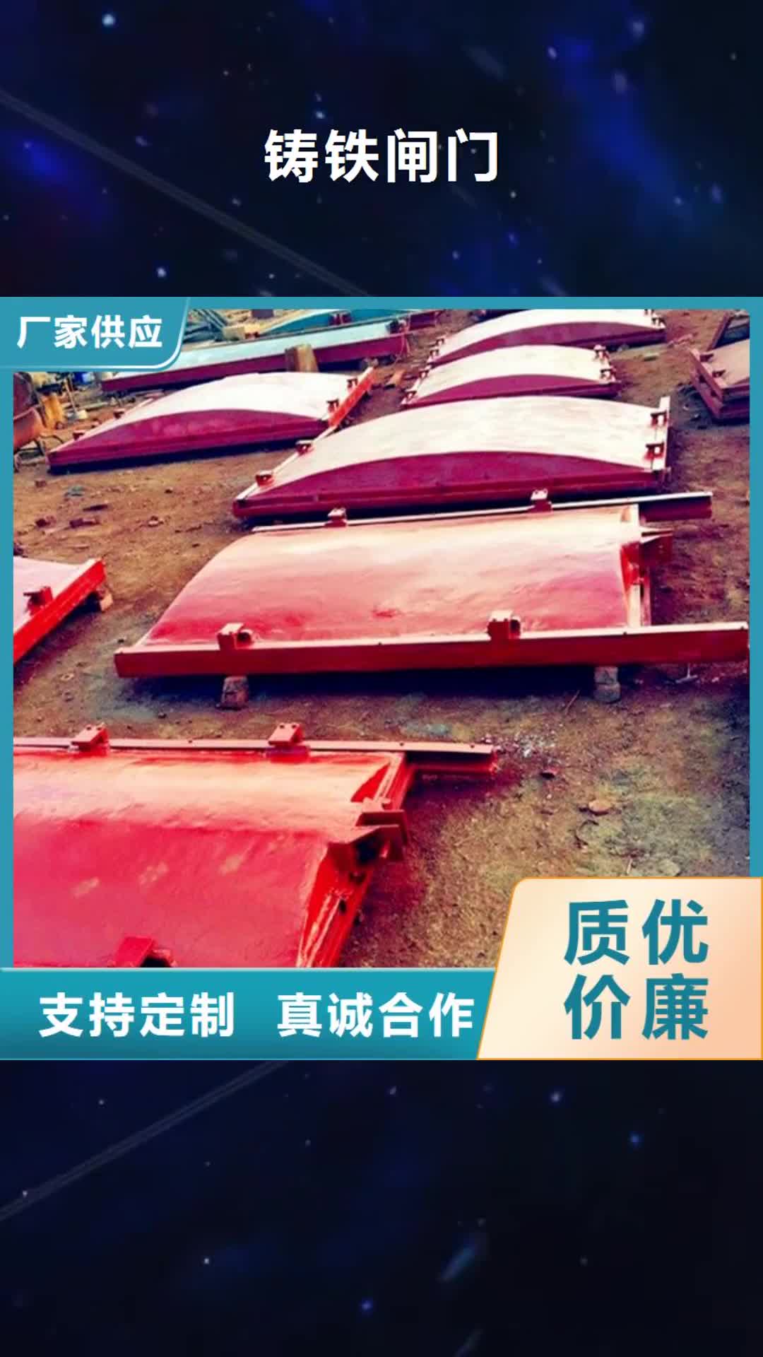 云浮【铸铁闸门】,拦污栅品质卓越