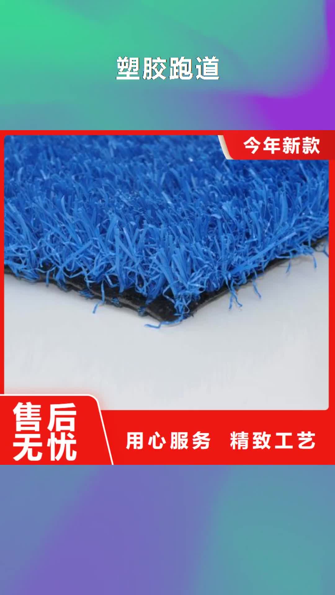 南京 塑胶跑道 【塑胶跑道厂家】买的是放心