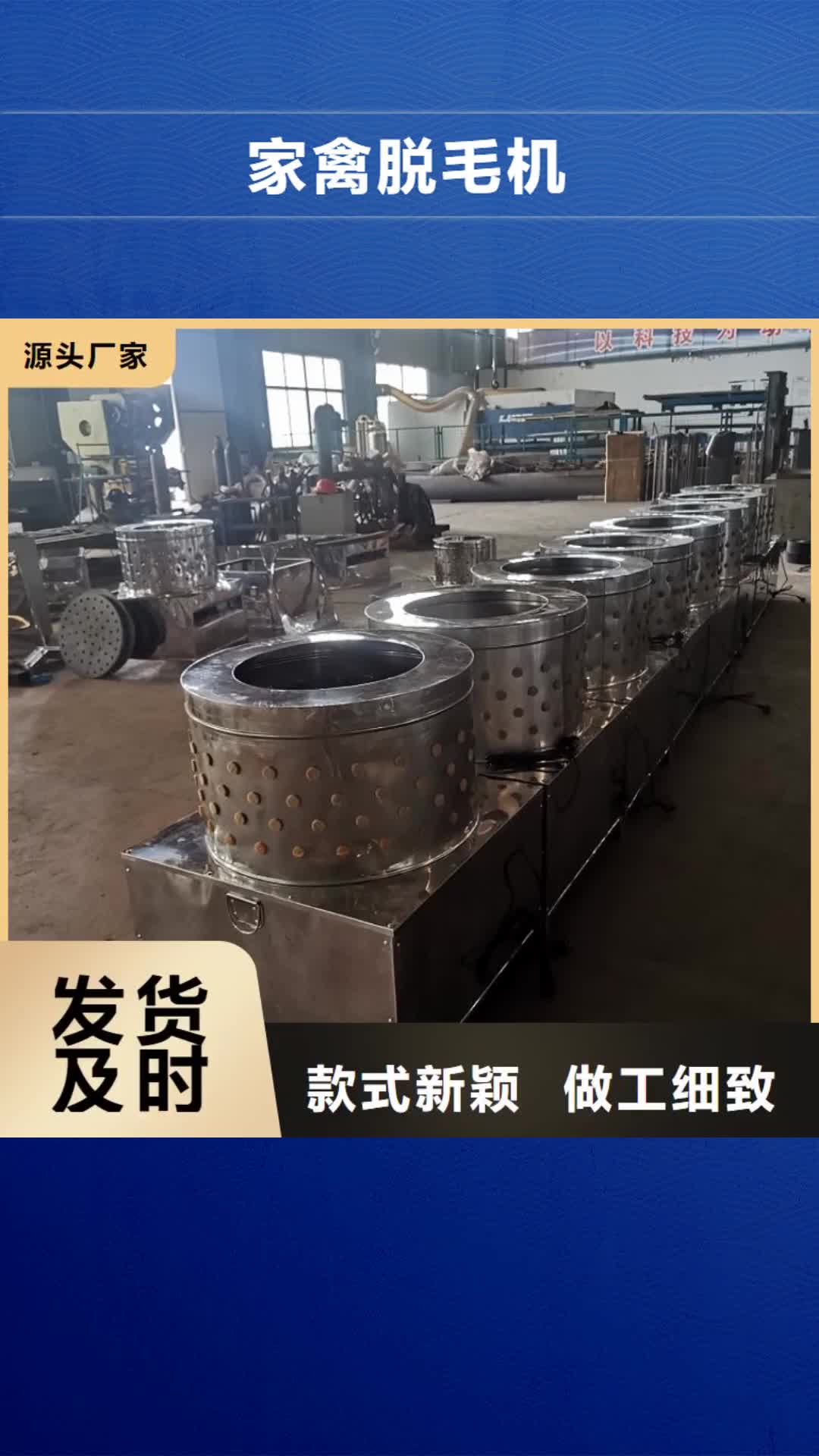 沧州 家禽脱毛机_【机厂家】产地批发