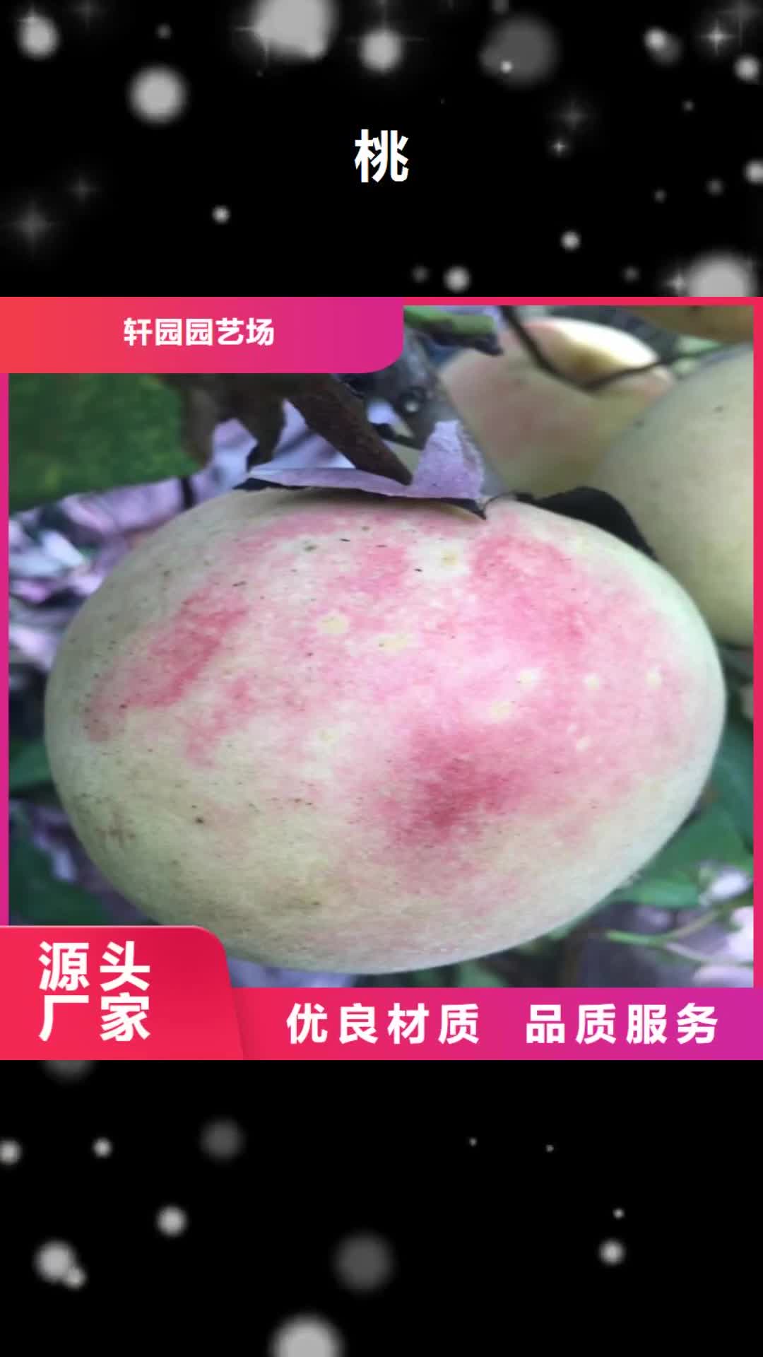 【汉中 桃 苹果苗源头厂家经验丰富】