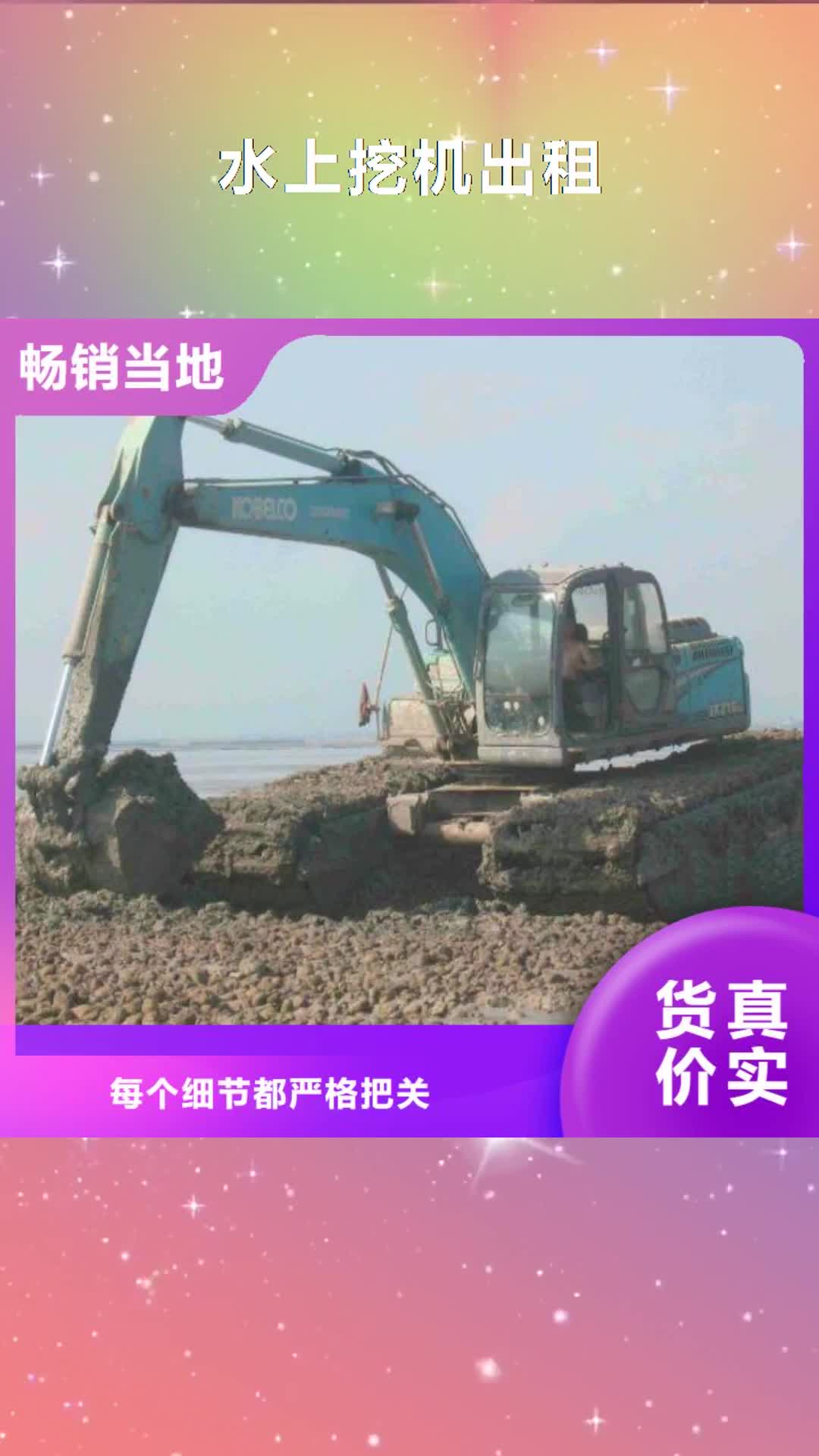 河源 水上挖机出租 【水上船挖租赁】可定制
