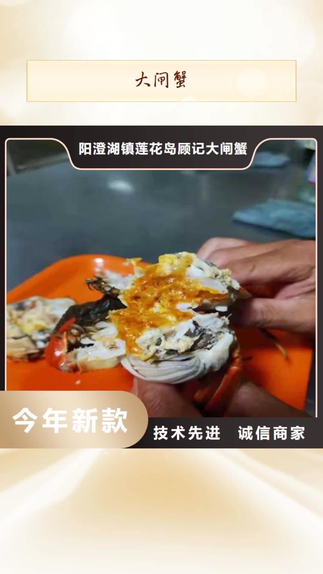 宣城【大闸蟹】-哪里卖阳澄湖大闸蟹优质工艺