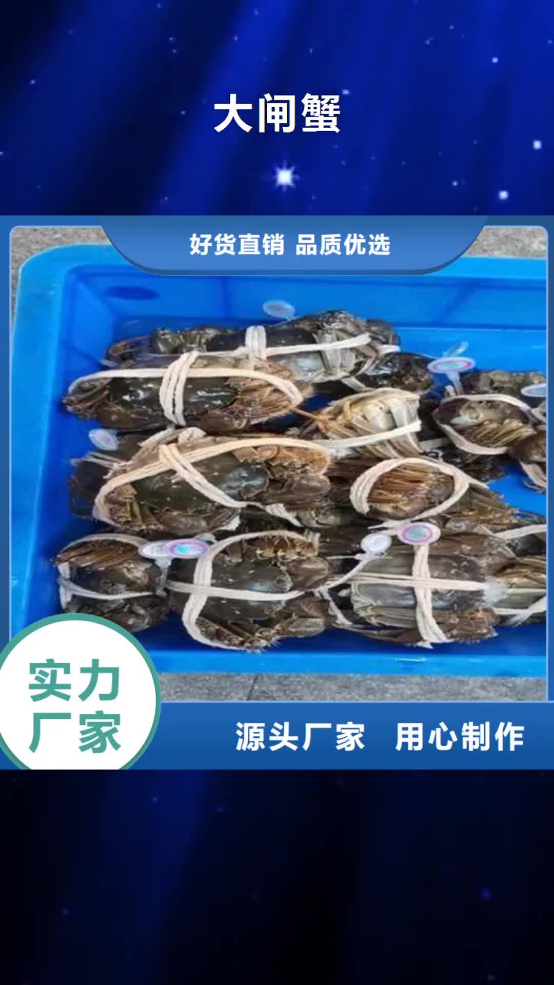 【淮南 大闸蟹,阳澄湖大闸蟹网上订购精心选材】