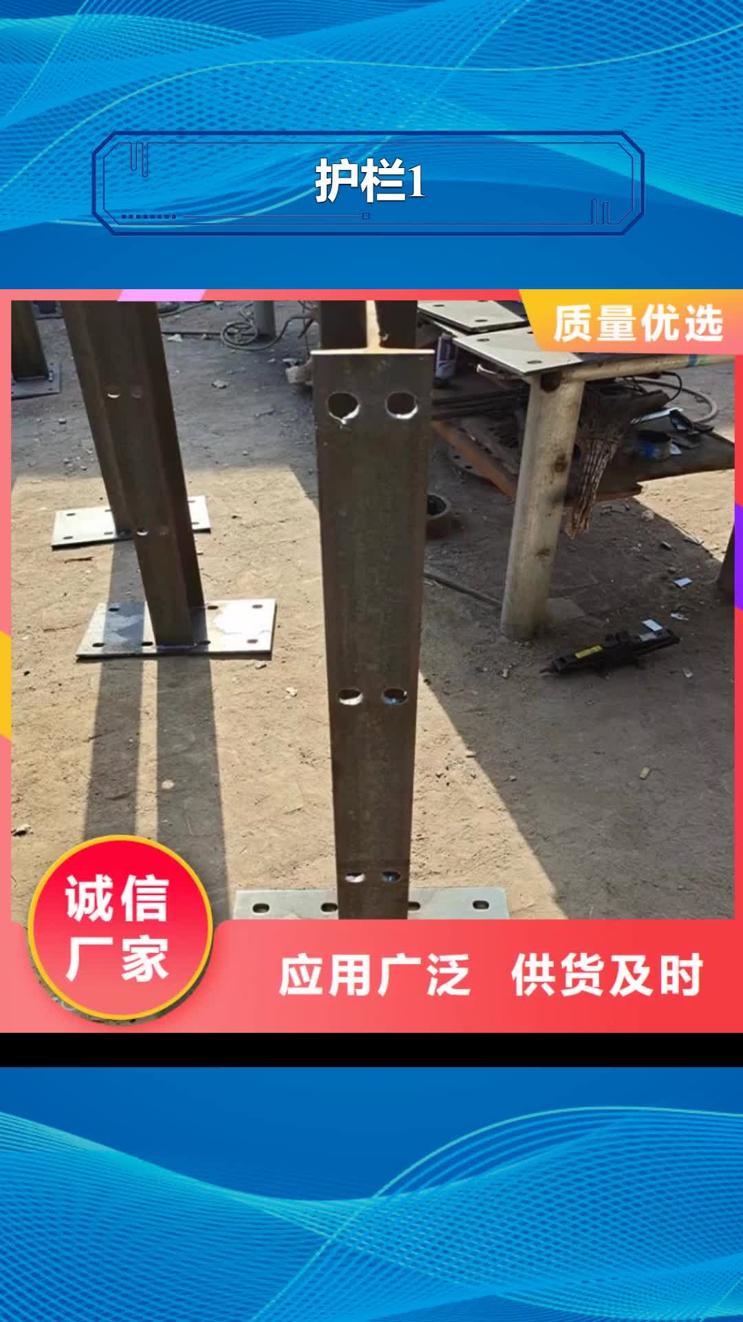 聊城 护栏1-【桥梁护栏厂】货真价实