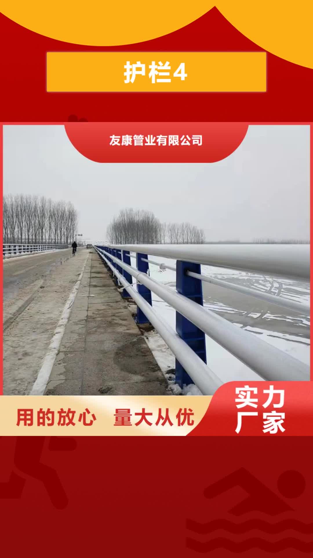【辽宁 护栏4-桥梁护栏厂家可定制】