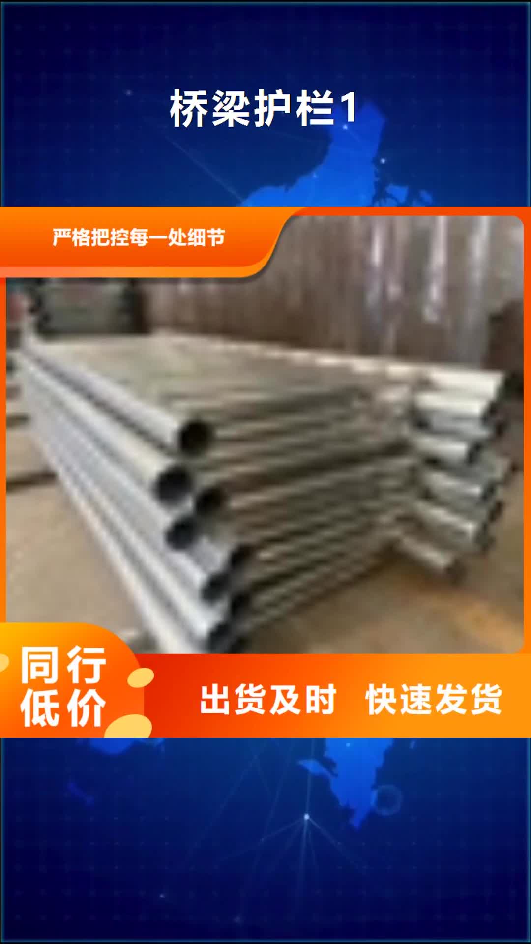 天津【桥梁护栏1】,景观护栏品质保证实力见证