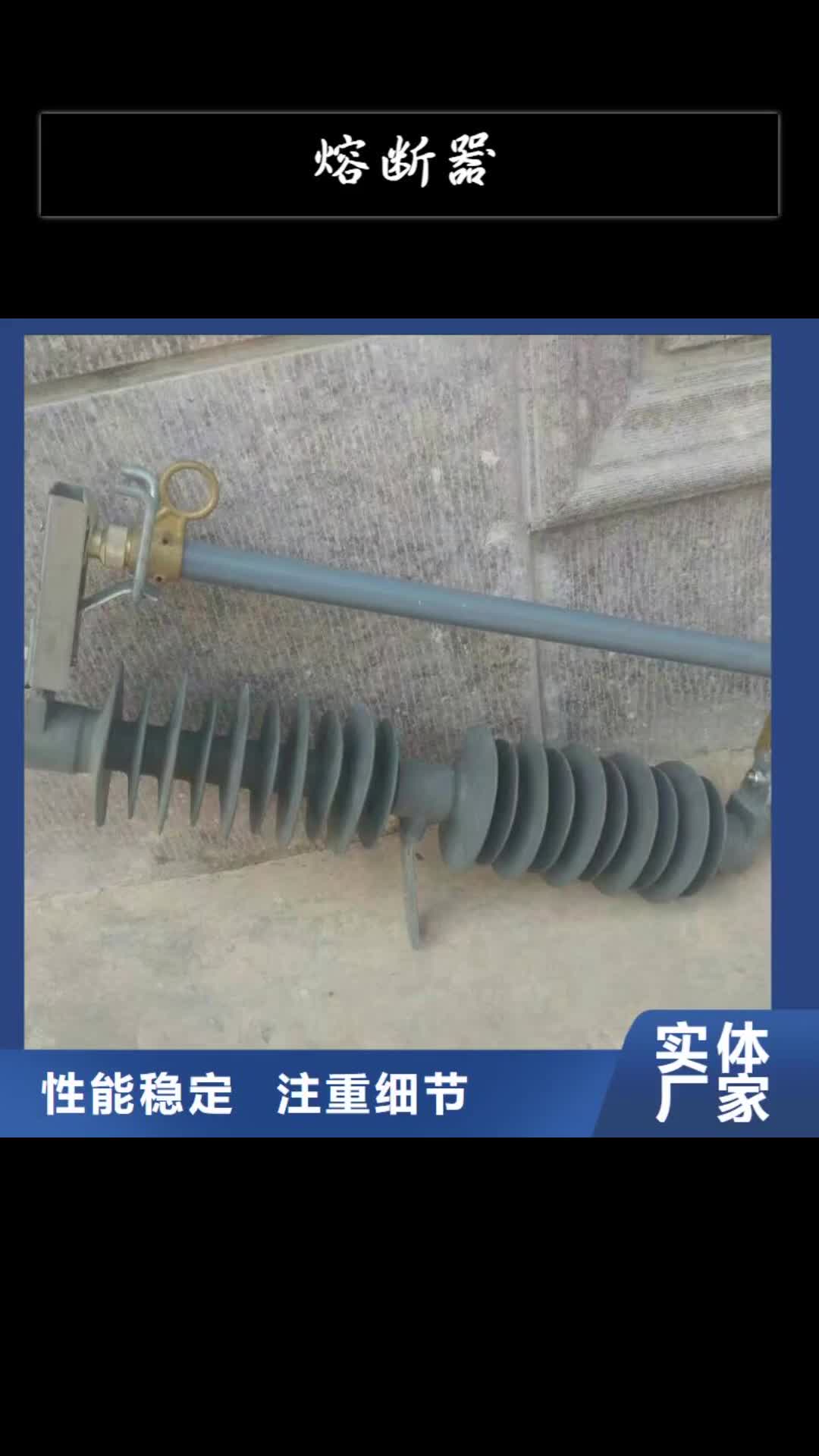 【鶴壁 熔斷器_金屬氧化物避雷器品質保障售后無憂】