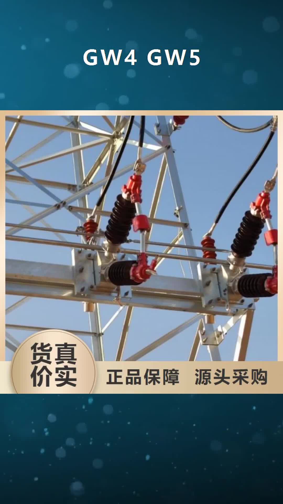 紹興 GW4  GW5_【斷路器廠家】全新升級品質保障