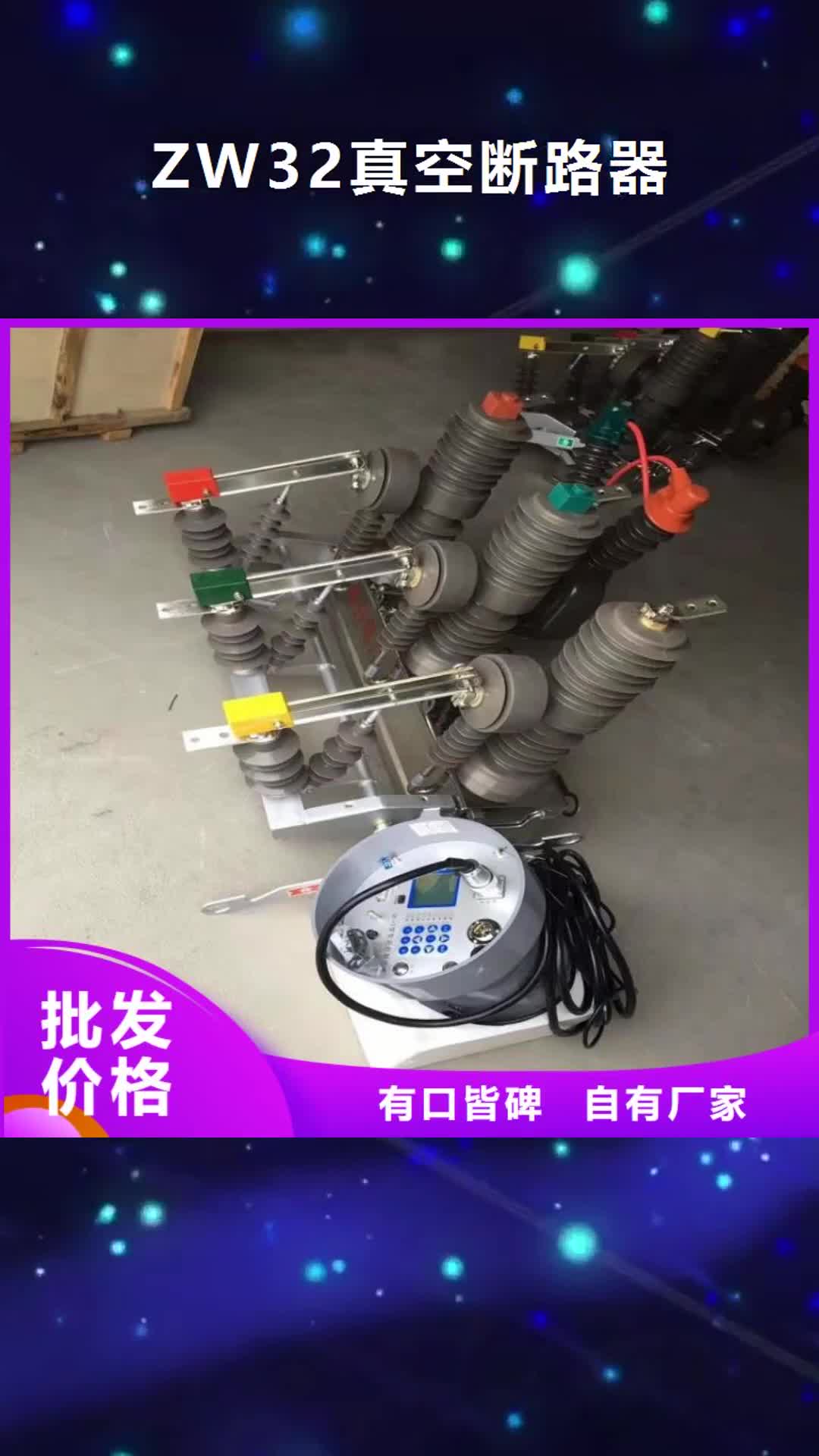 襄阳【ZW32真空断路器】_绝缘子细节决定品质