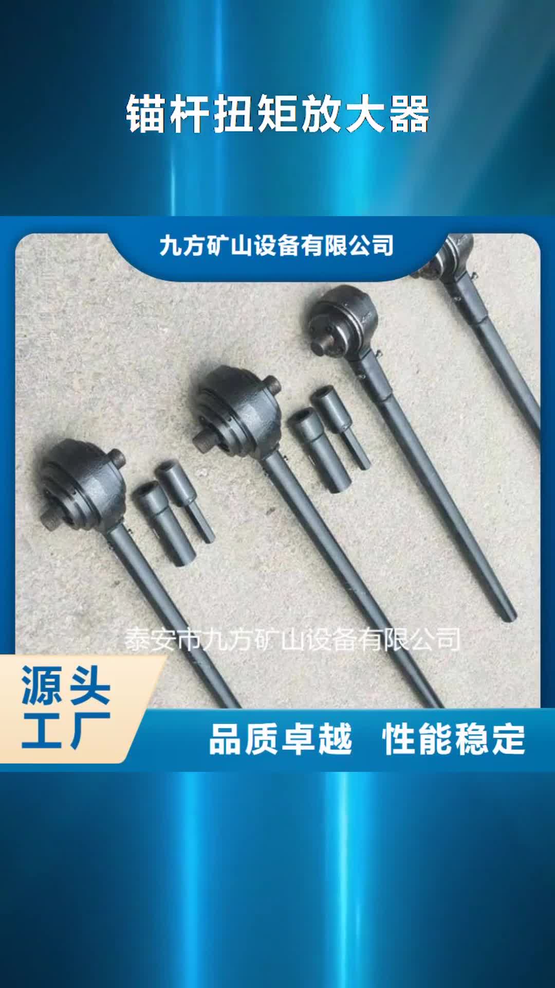 天水 锚杆扭矩放大器_【综采支架测压双表】贴心服务