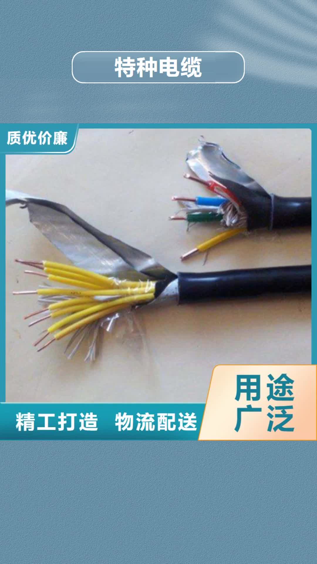 德州【特种电缆】,屏蔽电缆直销厂家