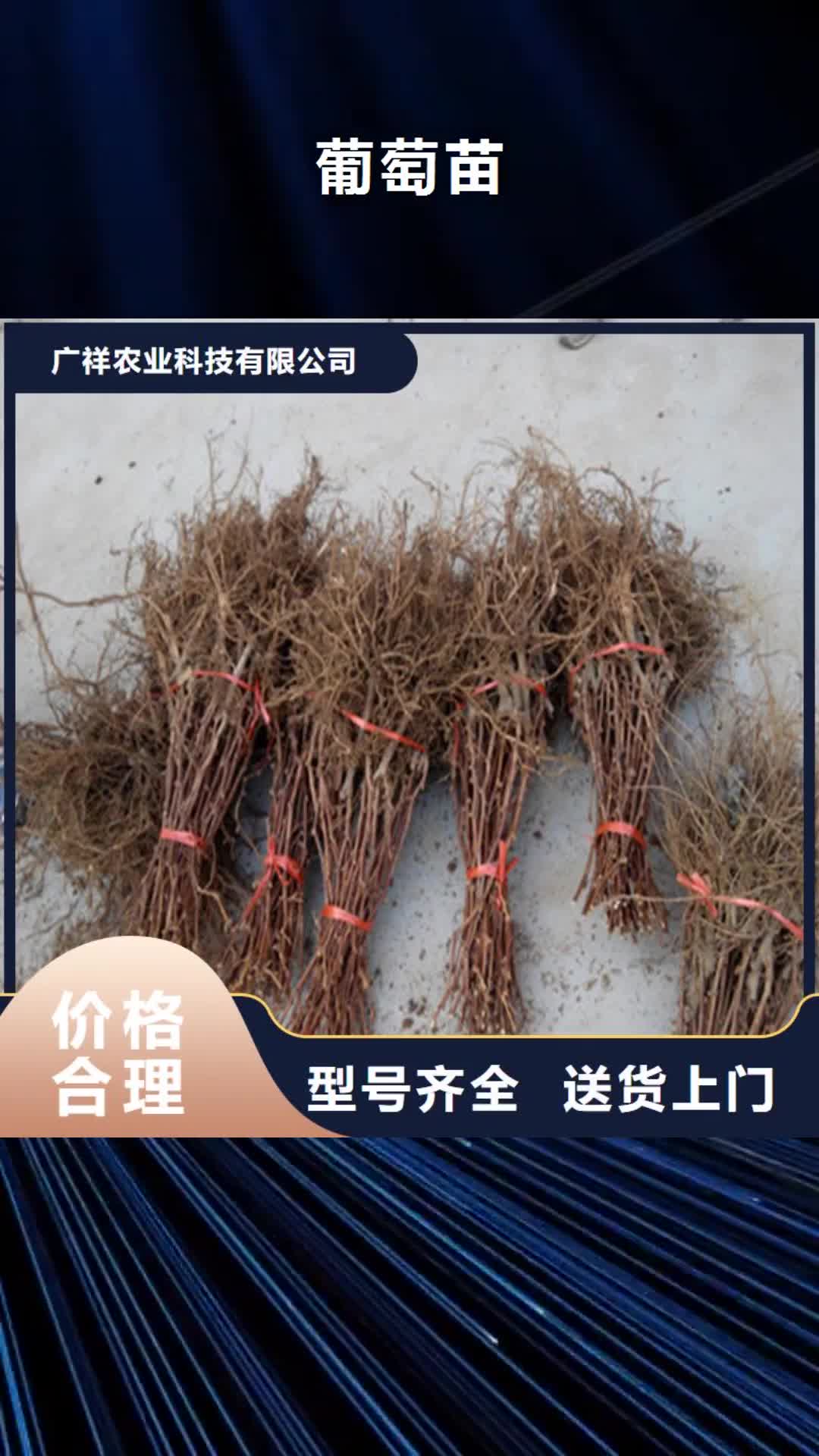 黄冈【葡萄苗】,苹果苗批发供应