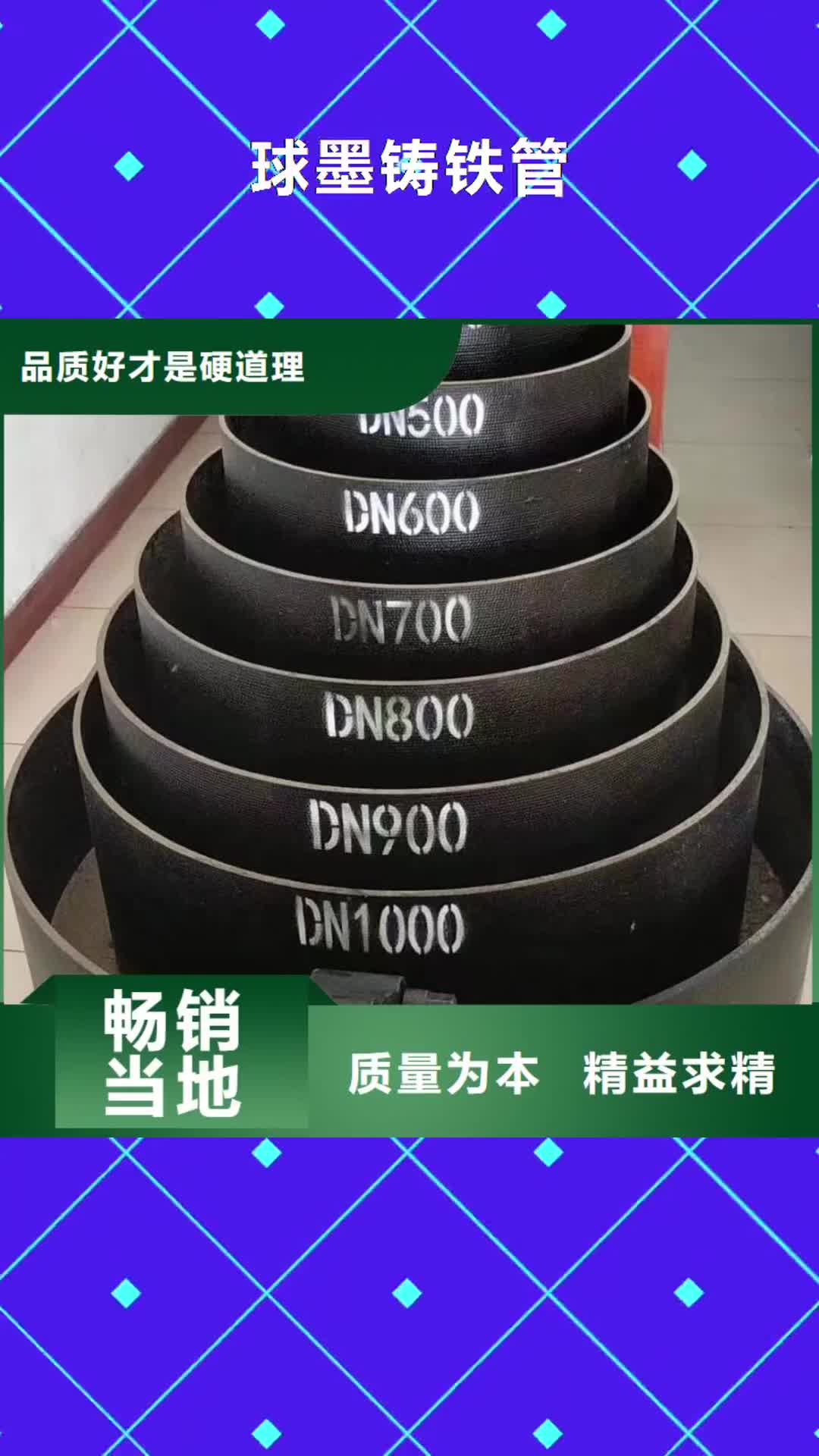 【红河 球墨铸铁管定制批发】