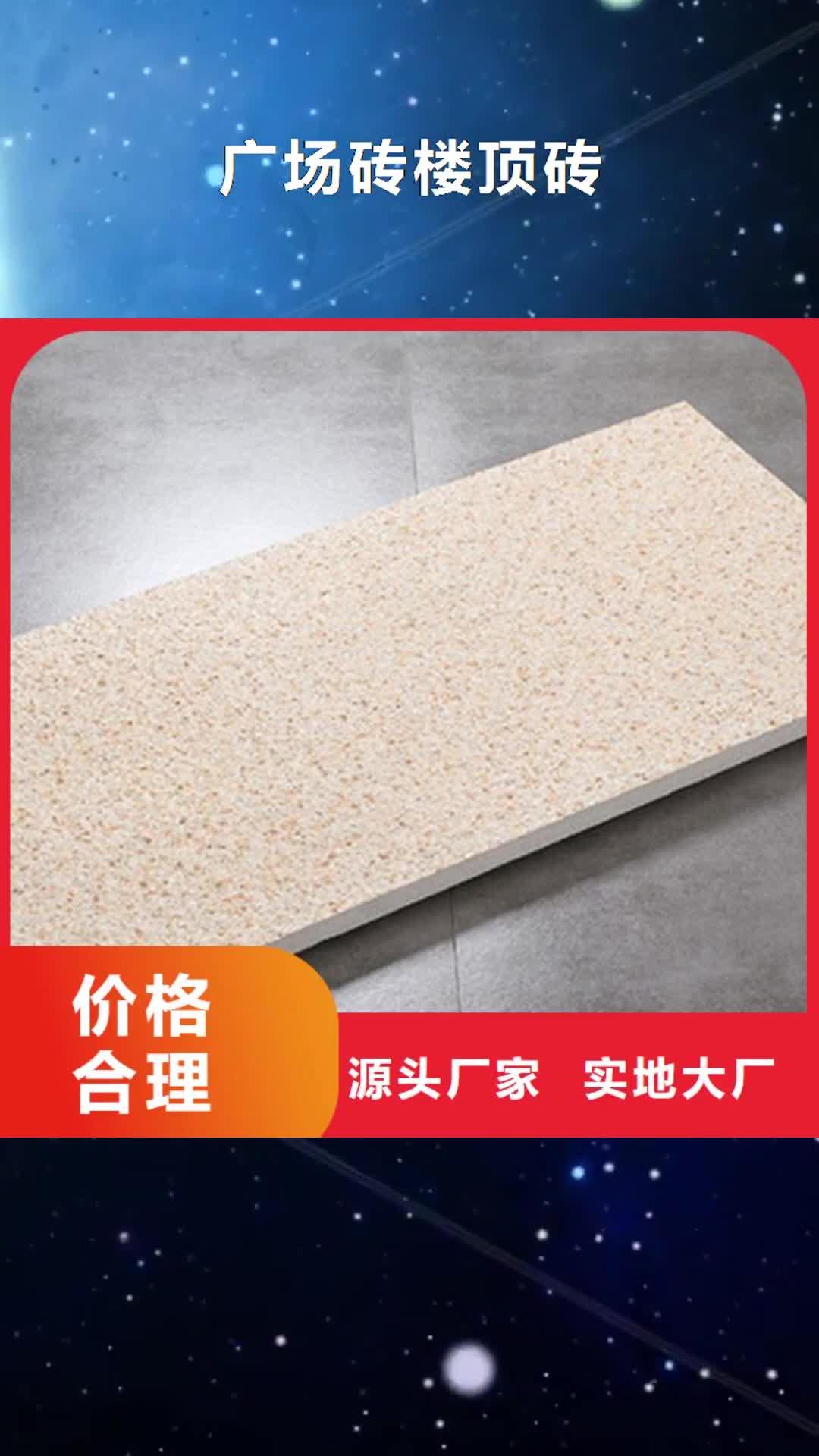 镇江 广场砖楼顶砖_【仿古砖】厂家