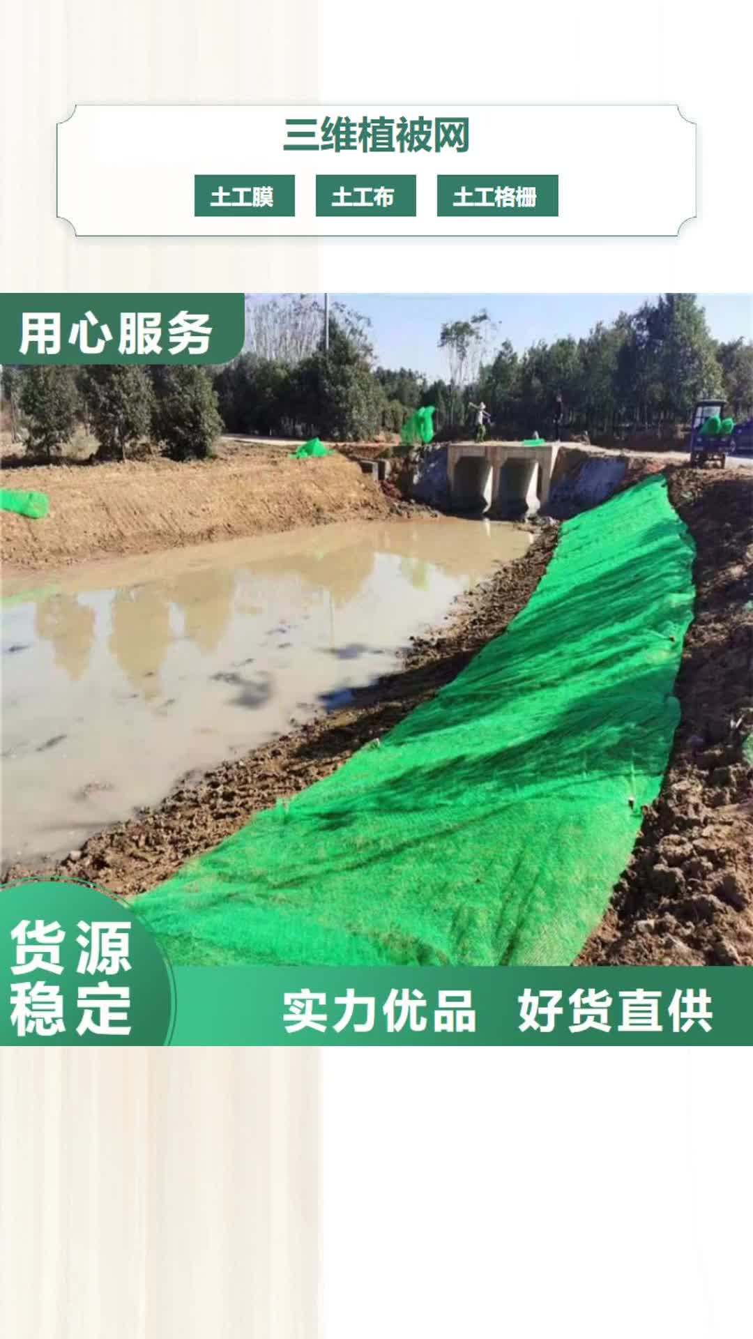 六安【三维植被网】_软式透水管免费询价