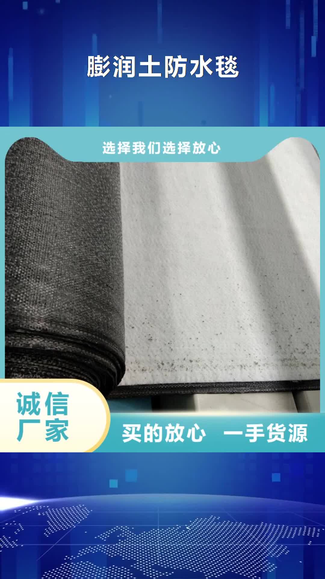 【張家界 膨潤土防水毯 土工膜款式新穎】