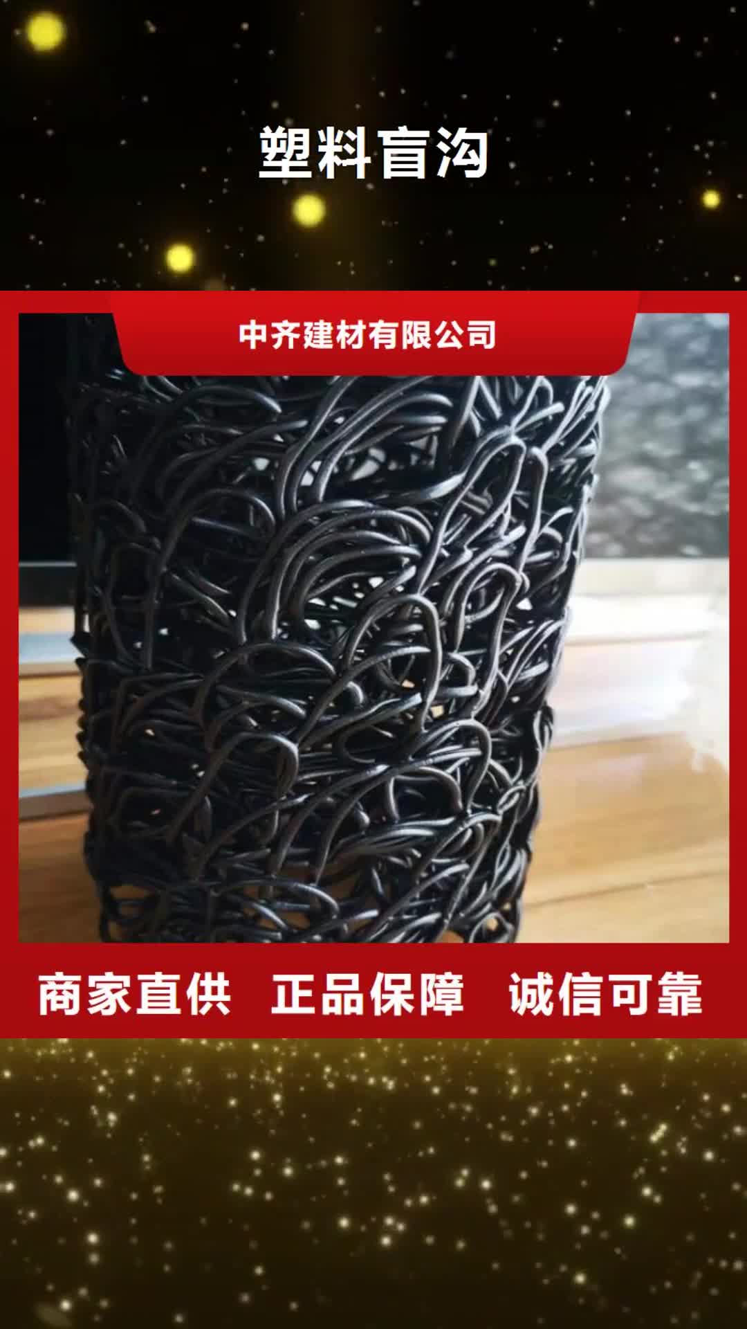 河北 塑料盲沟型号全价格低