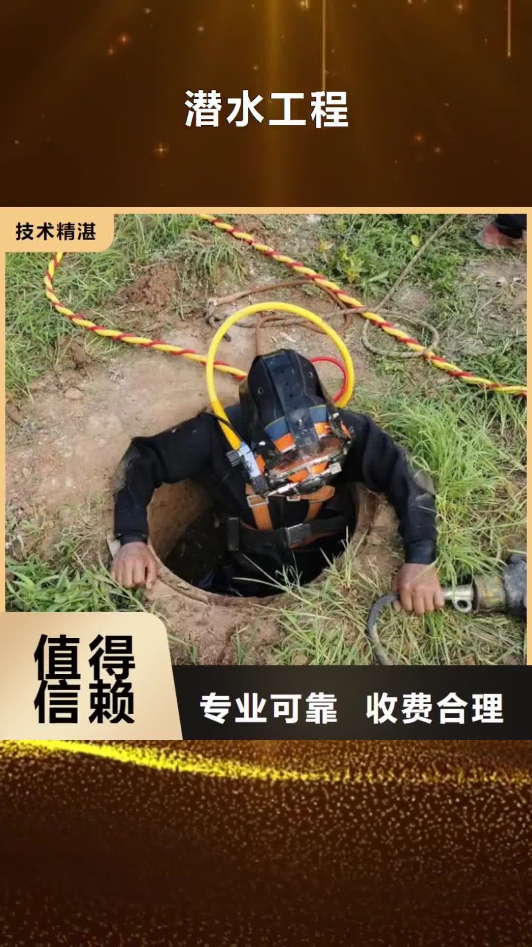 景德镇 潜水工程_【堤防工程施工】专业承接