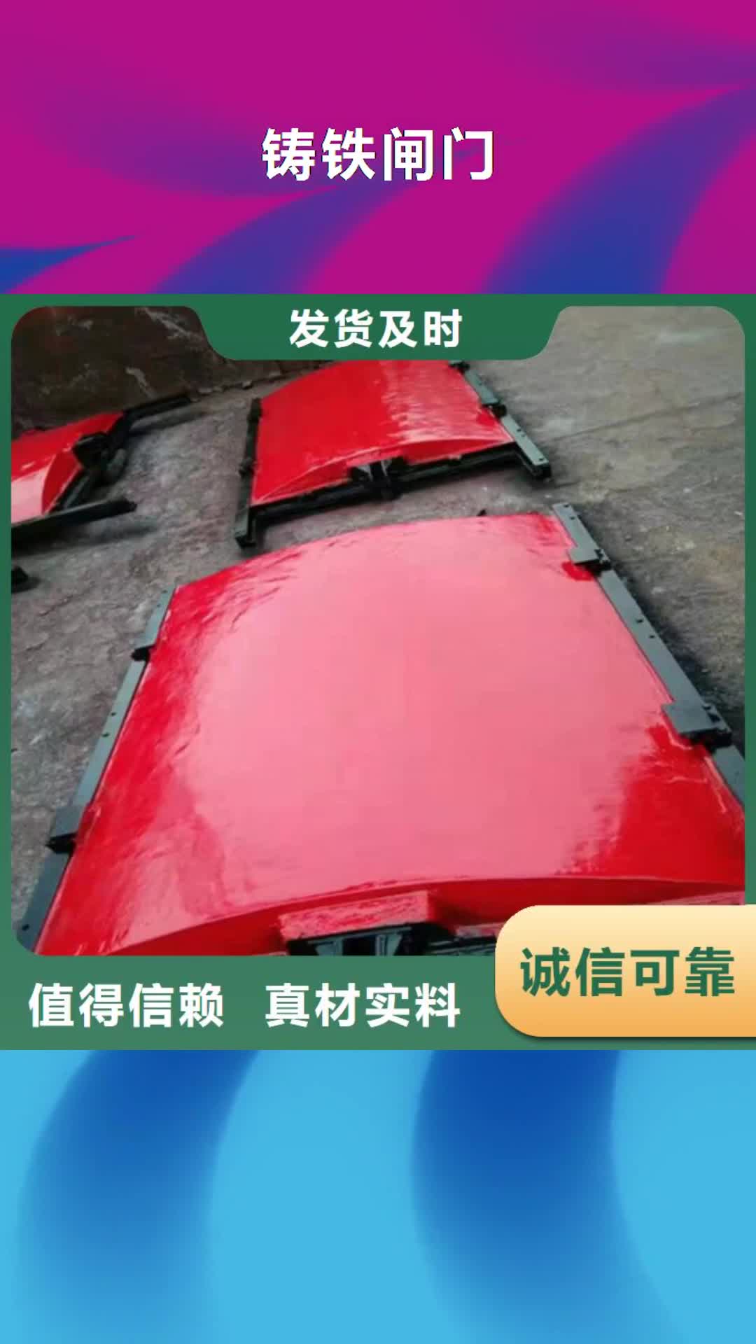 克拉玛依【铸铁闸门】,定轮钢制闸门专业信赖厂家