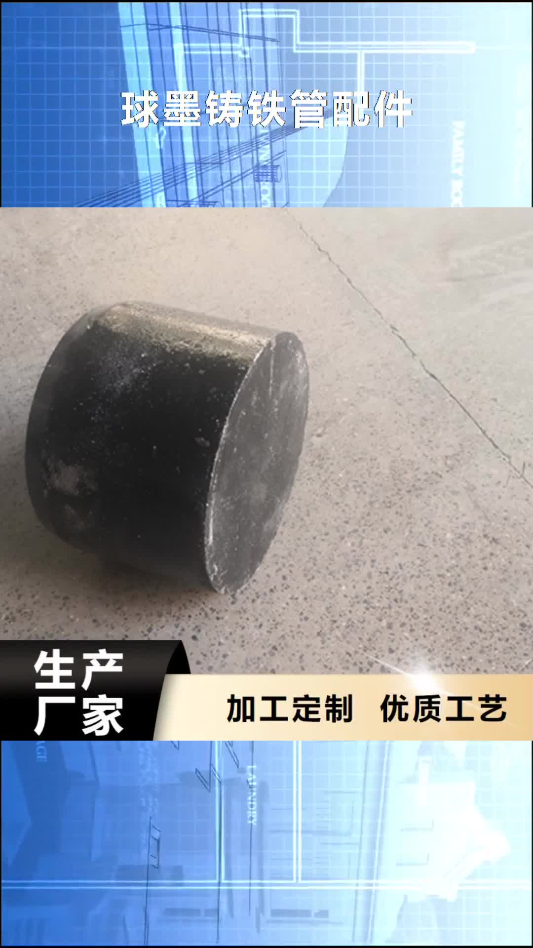 怒江【球墨铸铁管配件】-球墨铸铁管dn100
实力大厂家