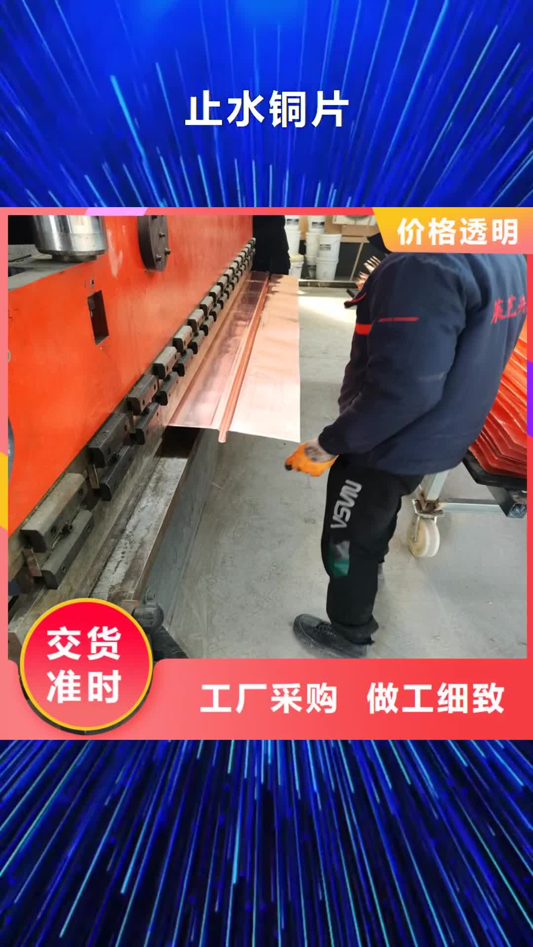 惠州 止水铜片 【仿钢塑钢纤维】质量安心