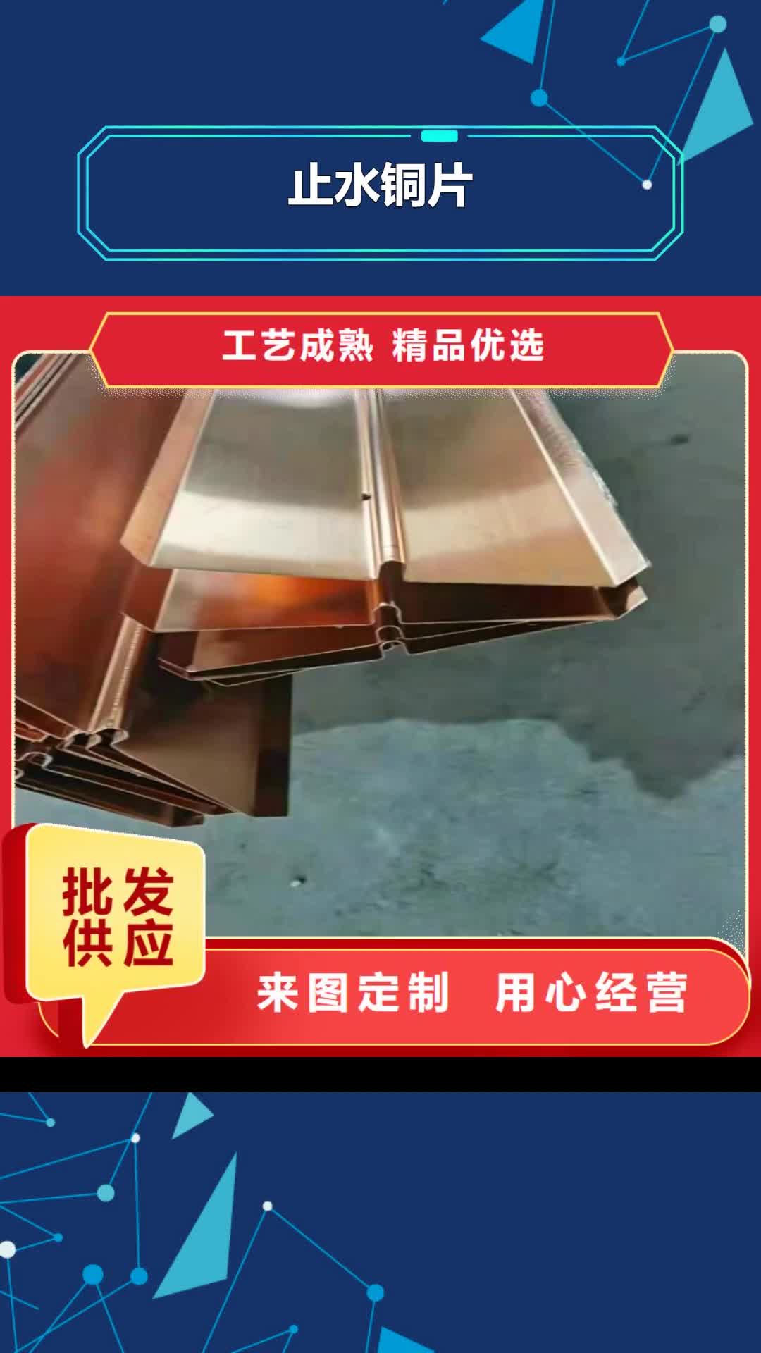 丽水 止水铜片 【仿钢塑钢纤维】优质货源