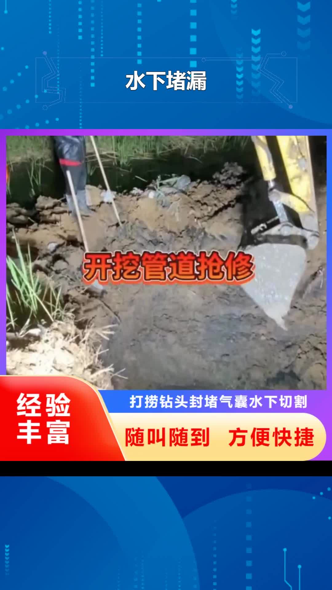 青海 水下堵漏 【本地潜水救援】专业品质