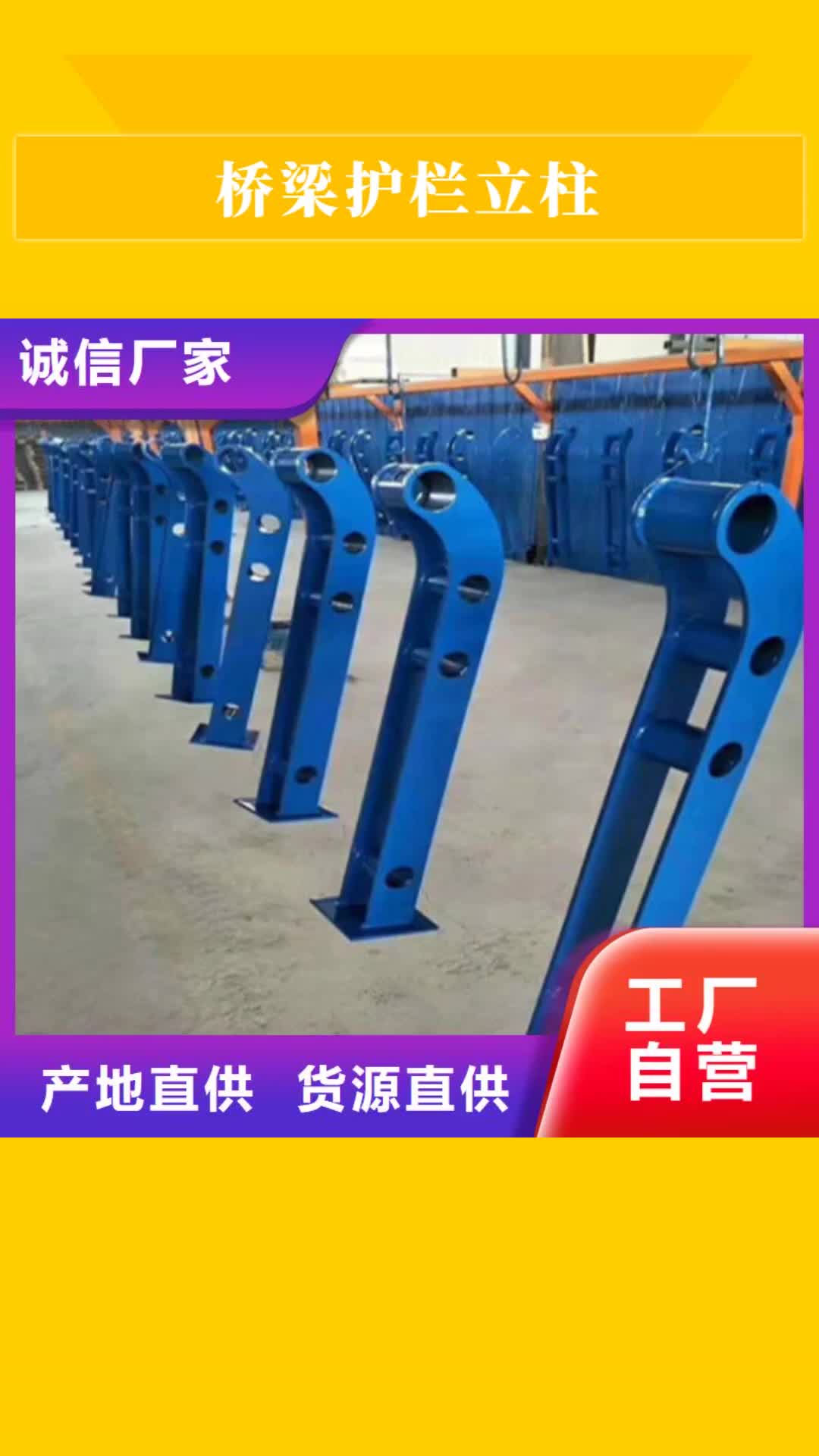 朔州【桥梁护栏立柱】-河道护栏实力派厂家