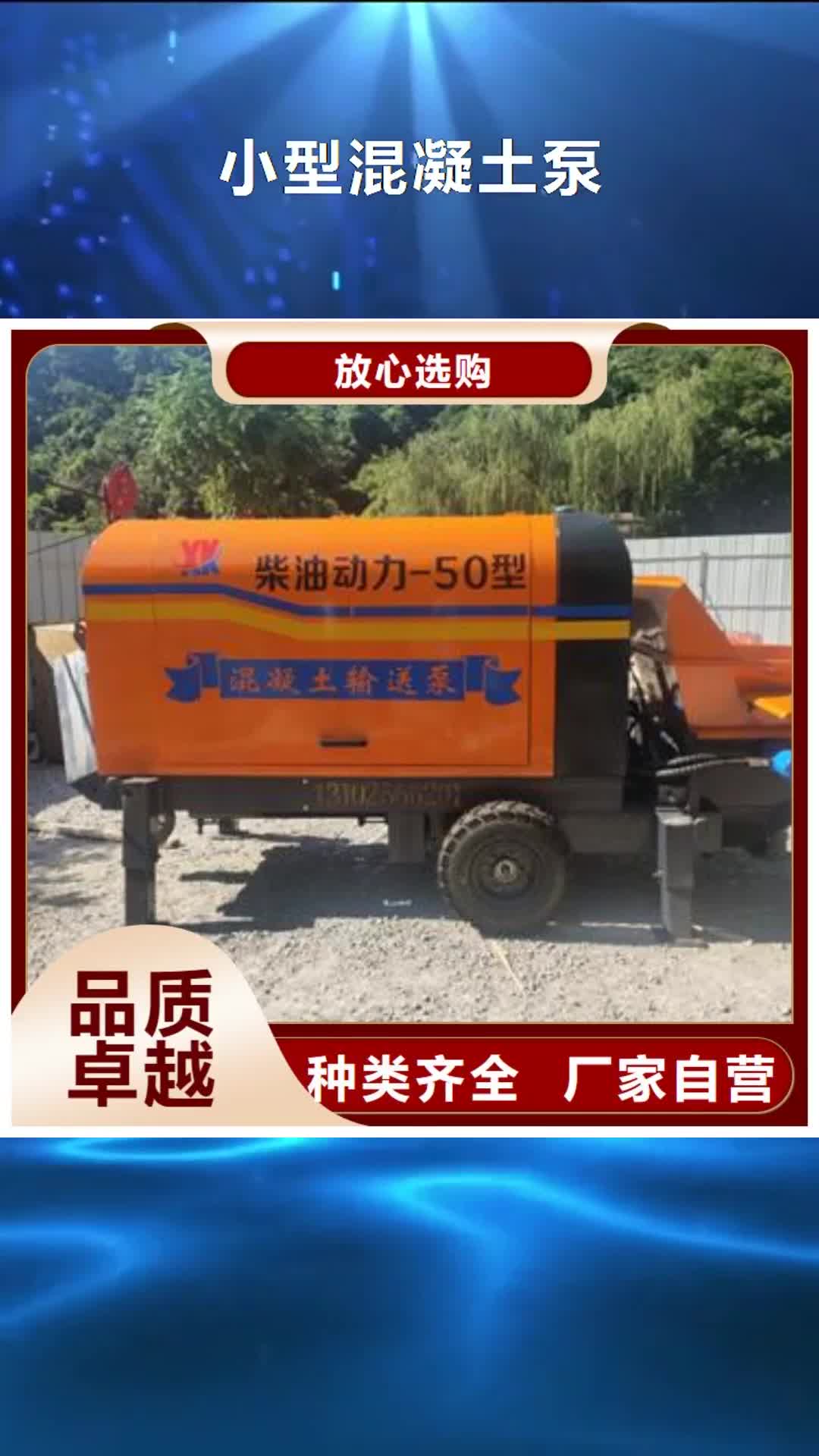 【云浮 小型混凝土泵细石混凝土输送泵  采购】