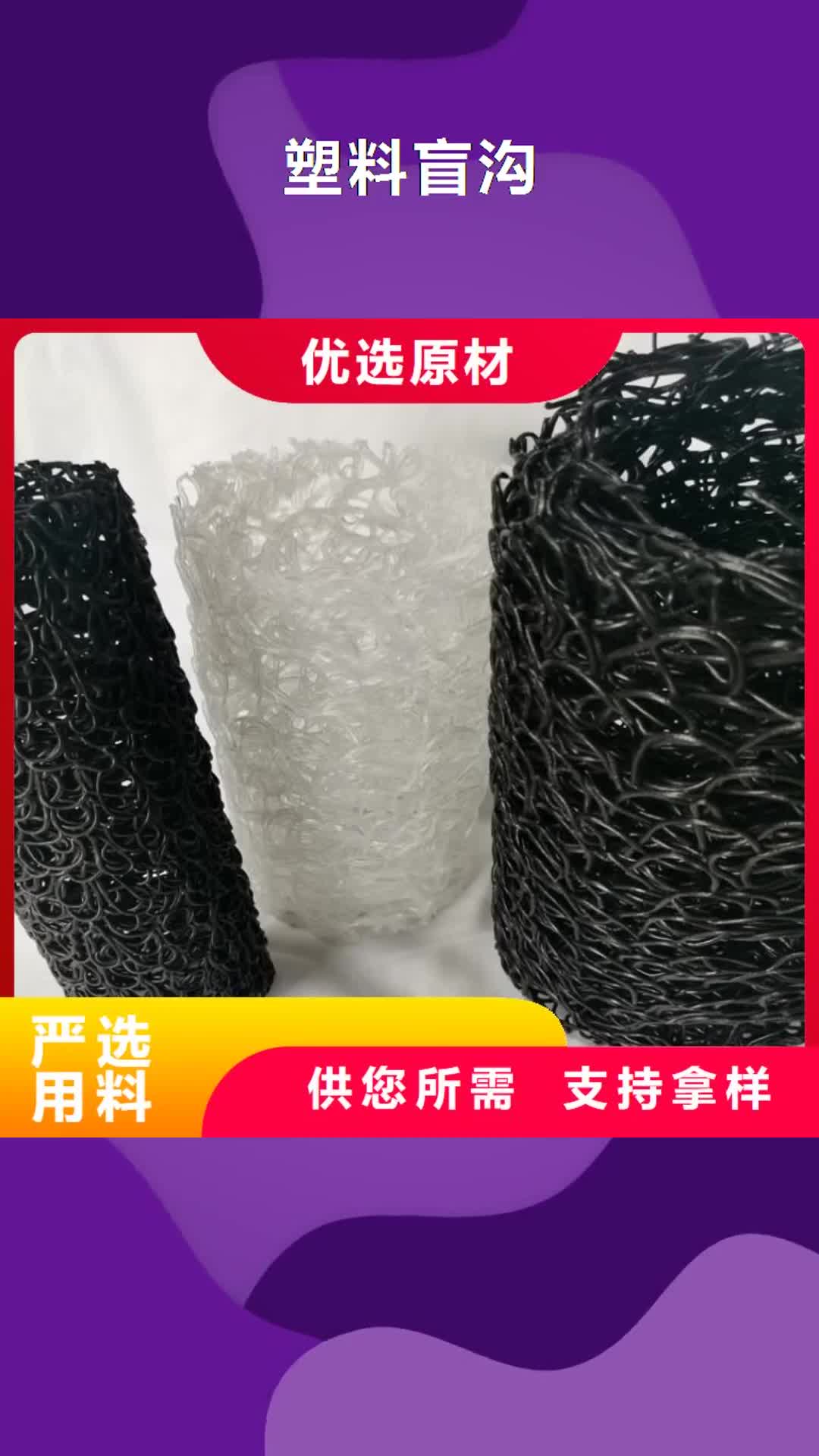 台湾【塑料盲沟】土工格栅认准大品牌厂家