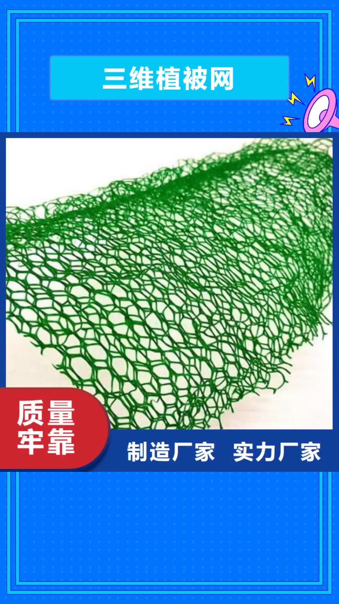 青岛 三维植被网,【土工膜】我们更专业