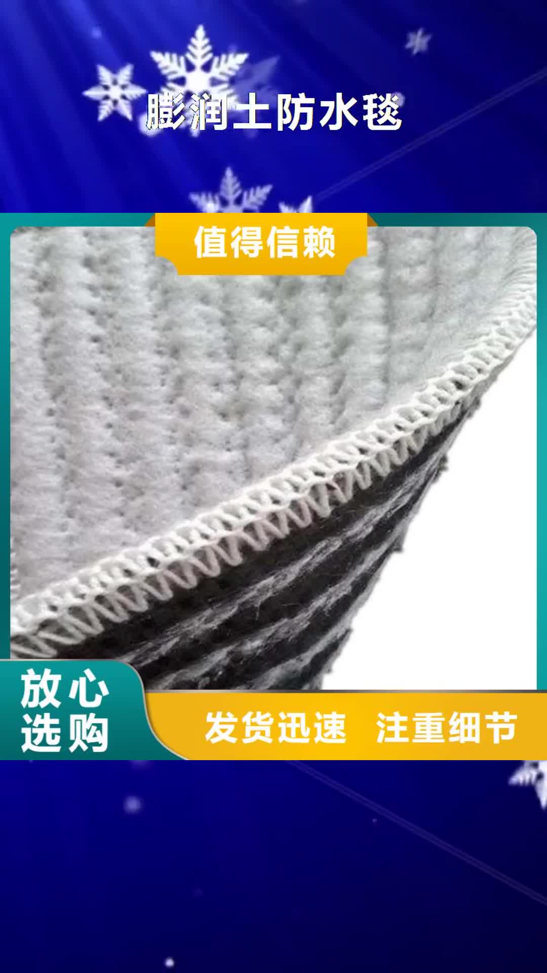 南昌 膨润土防水毯实体诚信厂家