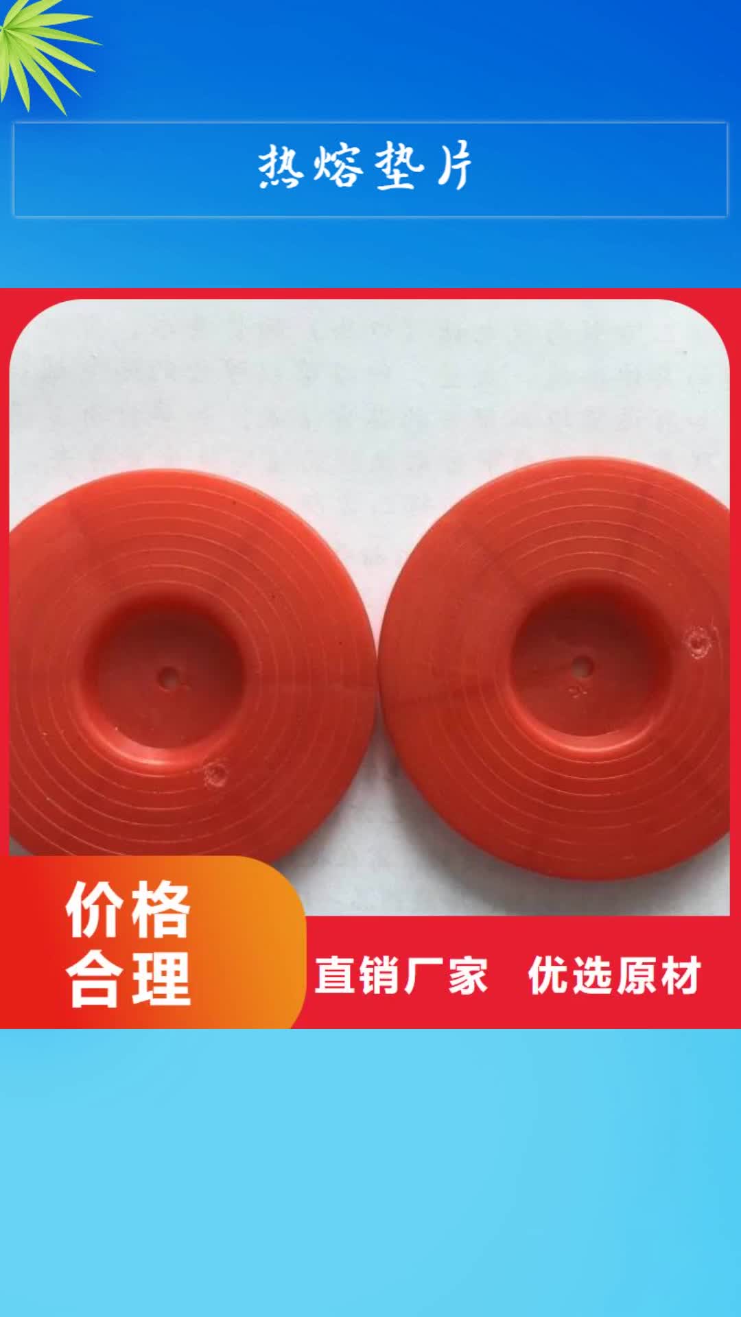 【河池 热熔垫片 膨润土防水毯专业生产厂家】